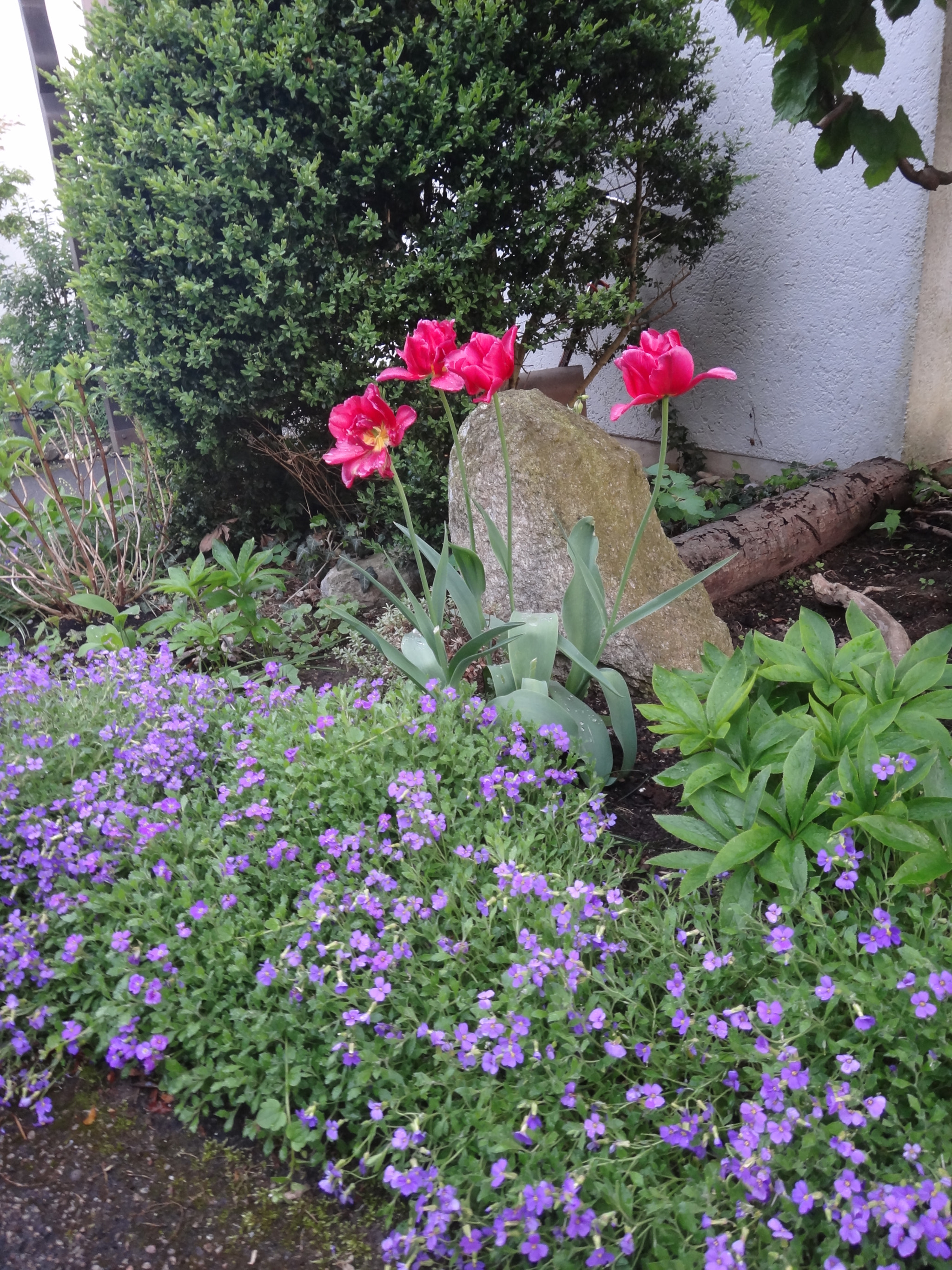 Sony Cyber-shot DSC-TX10 sample photo. 7150443669.jpg photography