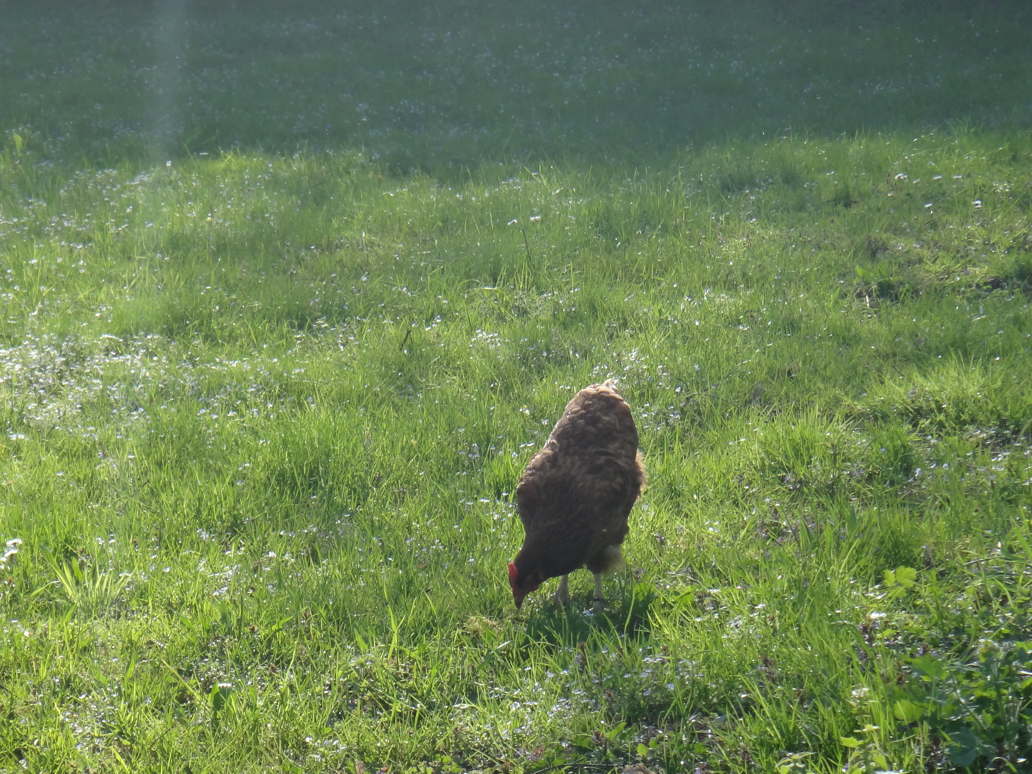 Sony Cyber-shot DSC-TX10 sample photo. 6972563036.jpg photography