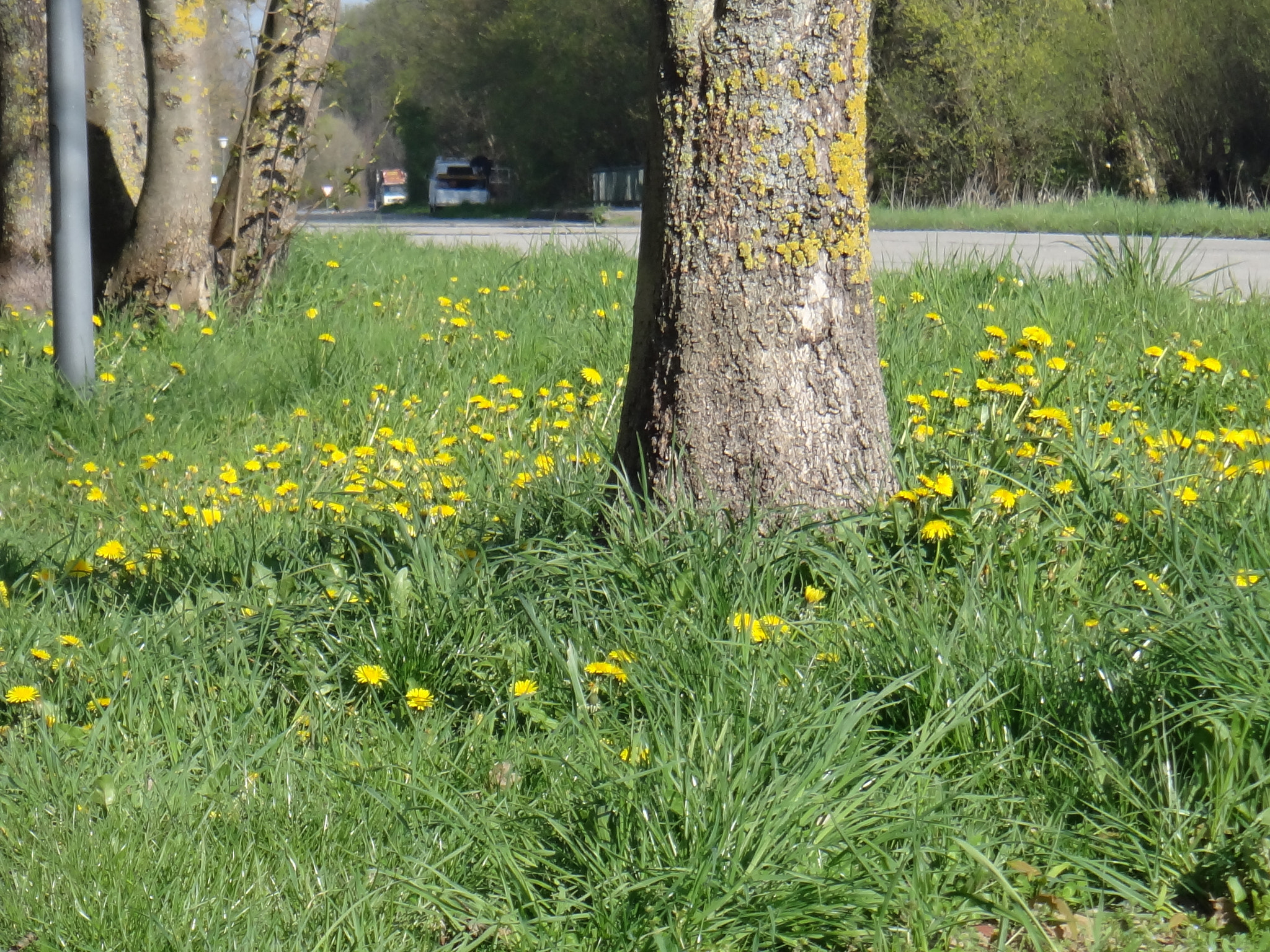 Sony Cyber-shot DSC-TX10 sample photo. 6972534550.jpg photography