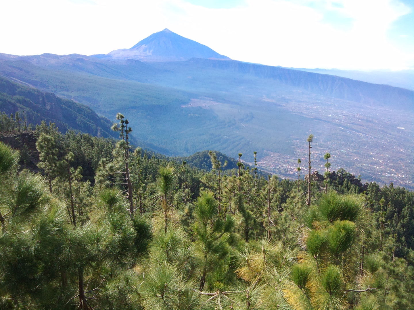 Sony Ericsson C901 sample photo. El teide  tenerife photography