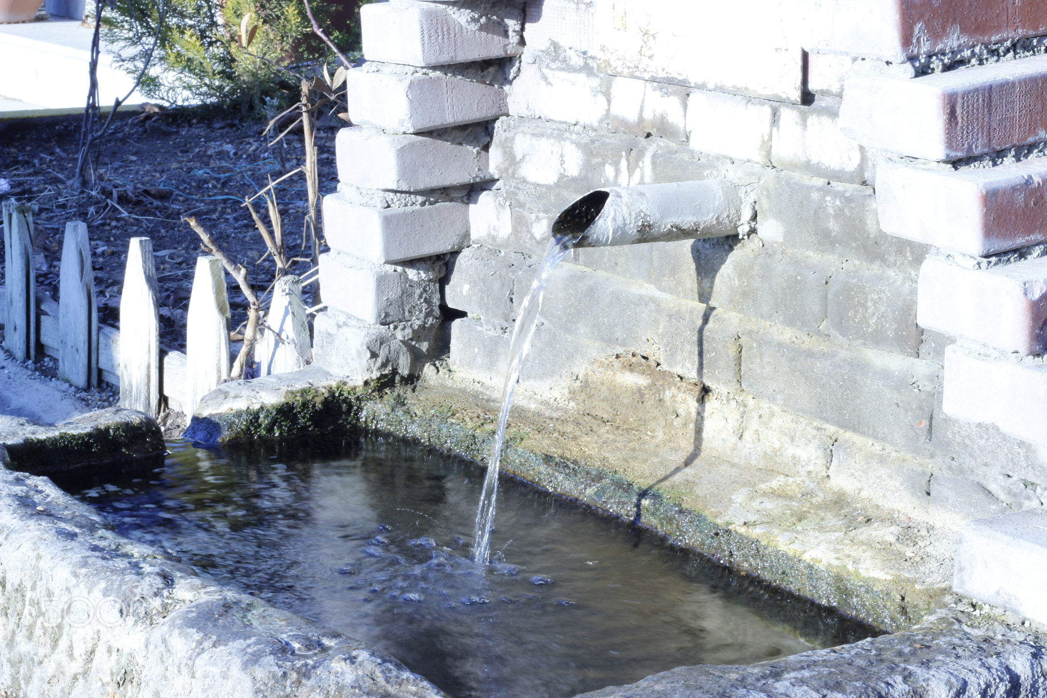 We need water for life