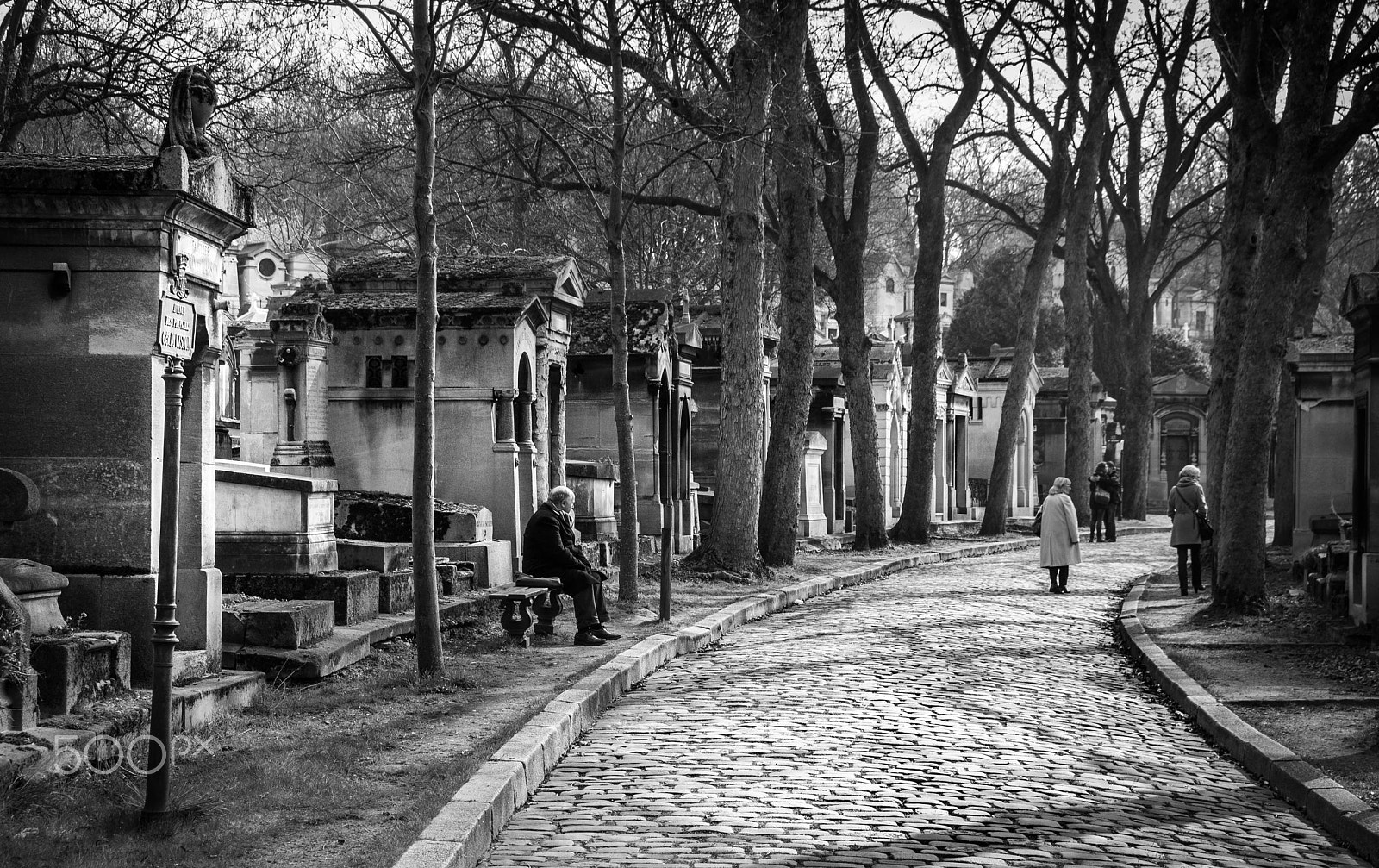 Nikon D60 sample photo. Cemetry road... photography