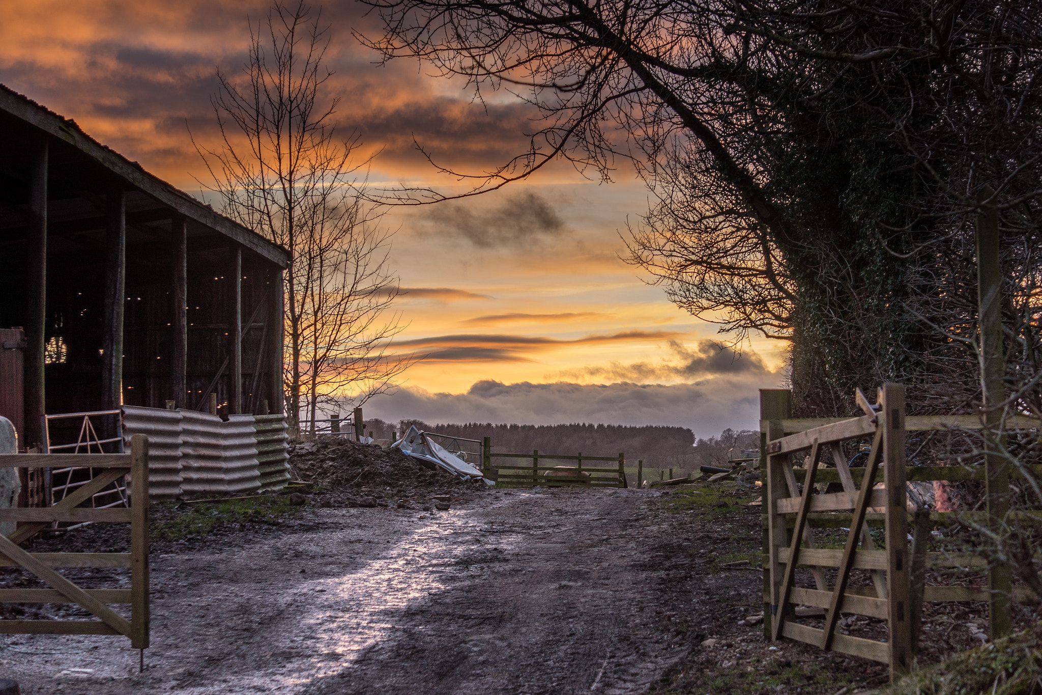 Sony a7R + Sony E 55-210mm F4.5-6.3 OSS sample photo. Farm gates photography