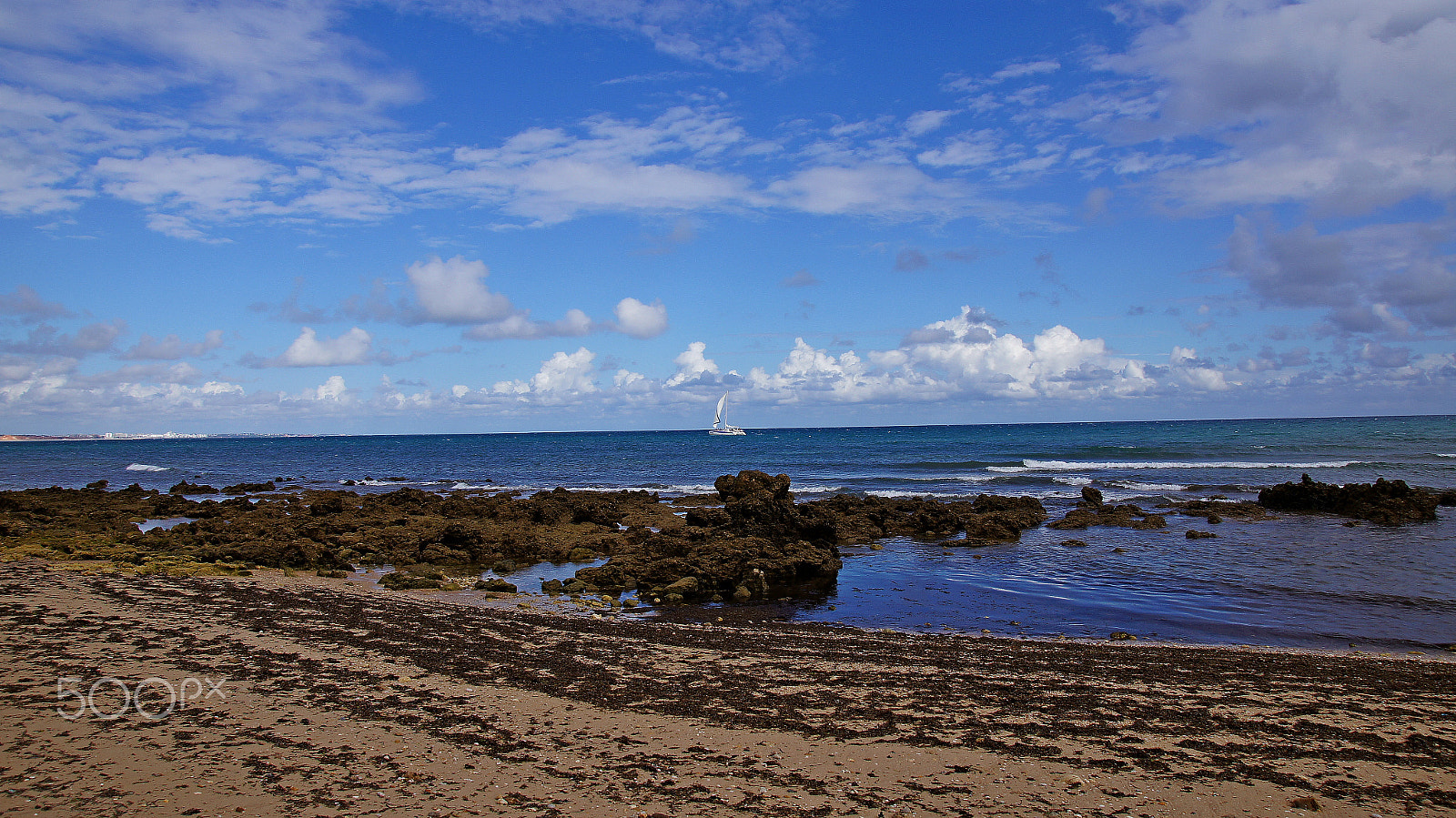 Sony SLT-A55 (SLT-A55V) + Sony DT 16-105mm F3.5-5.6 sample photo. Sony dsc lonely white sail photography