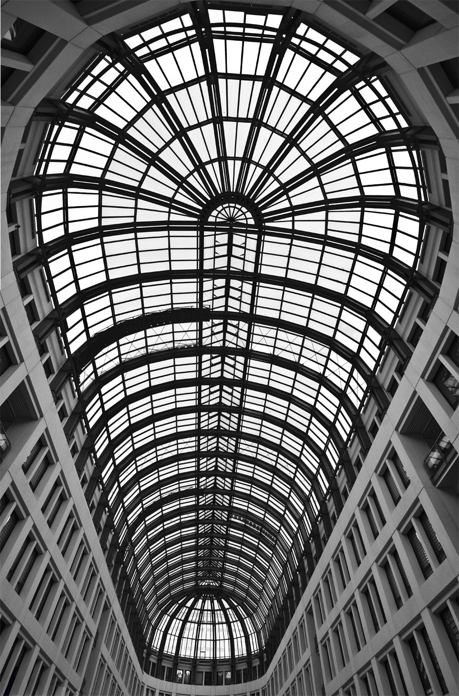 AF Zoom-Nikkor 35-135mm f/3.5-4.5 N sample photo. Black and white photography
