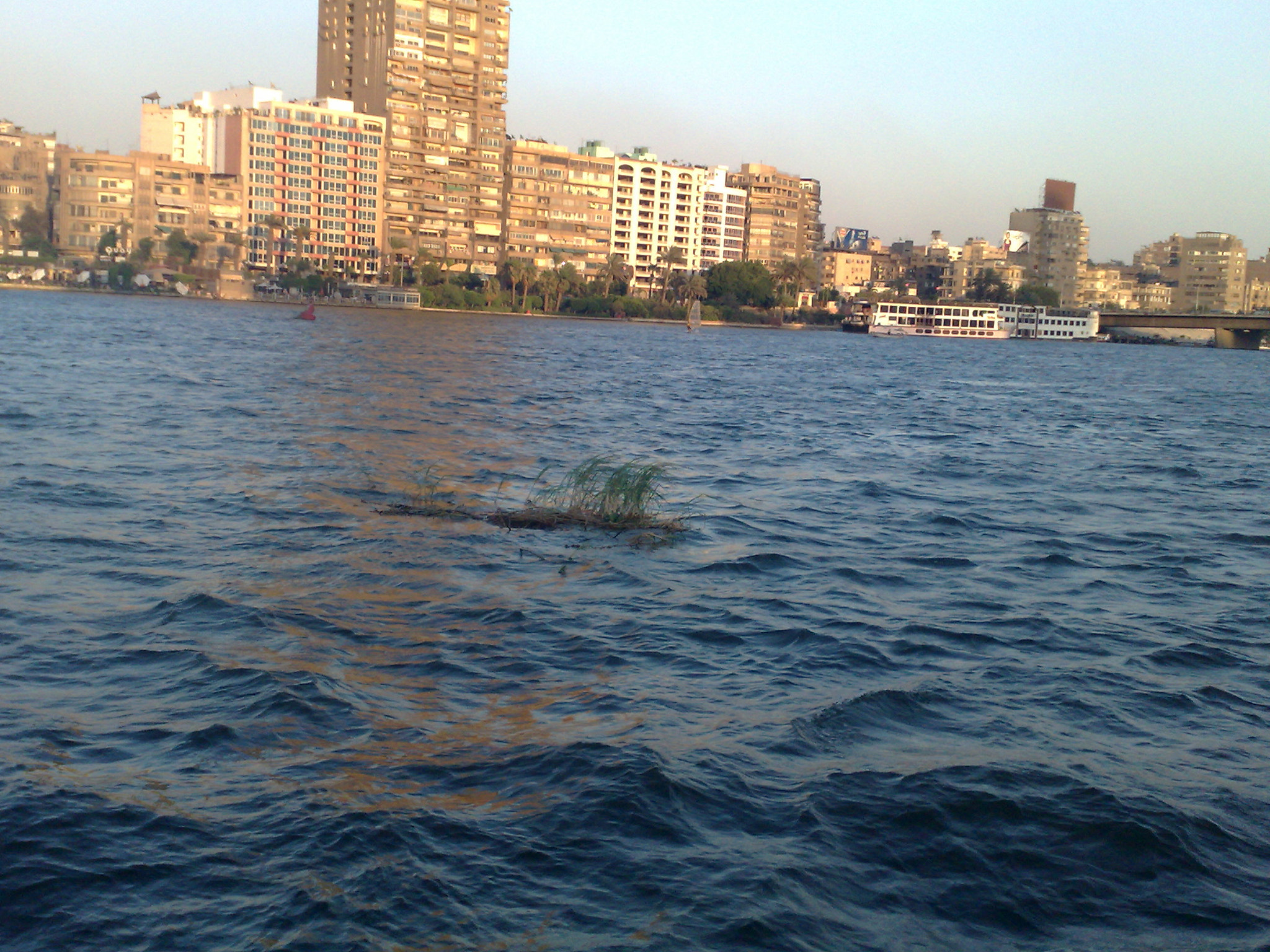 Nokia N95 8GB sample photo. 3709993196.jpg photography