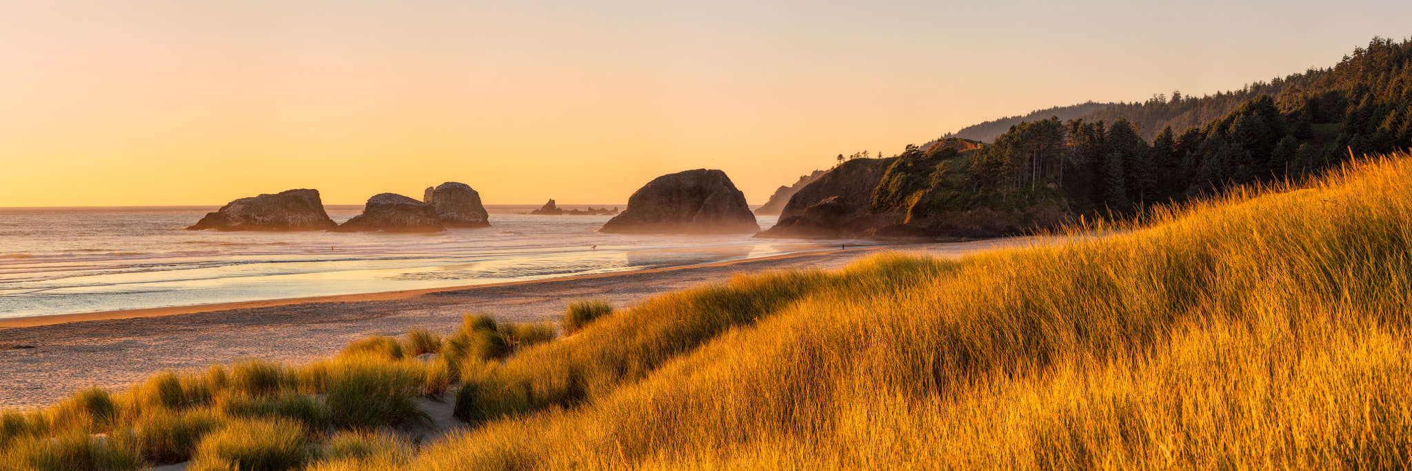 Canon TS-E 90mm F2.8 Tilt-Shift sample photo. Cannon beach, oregon photography