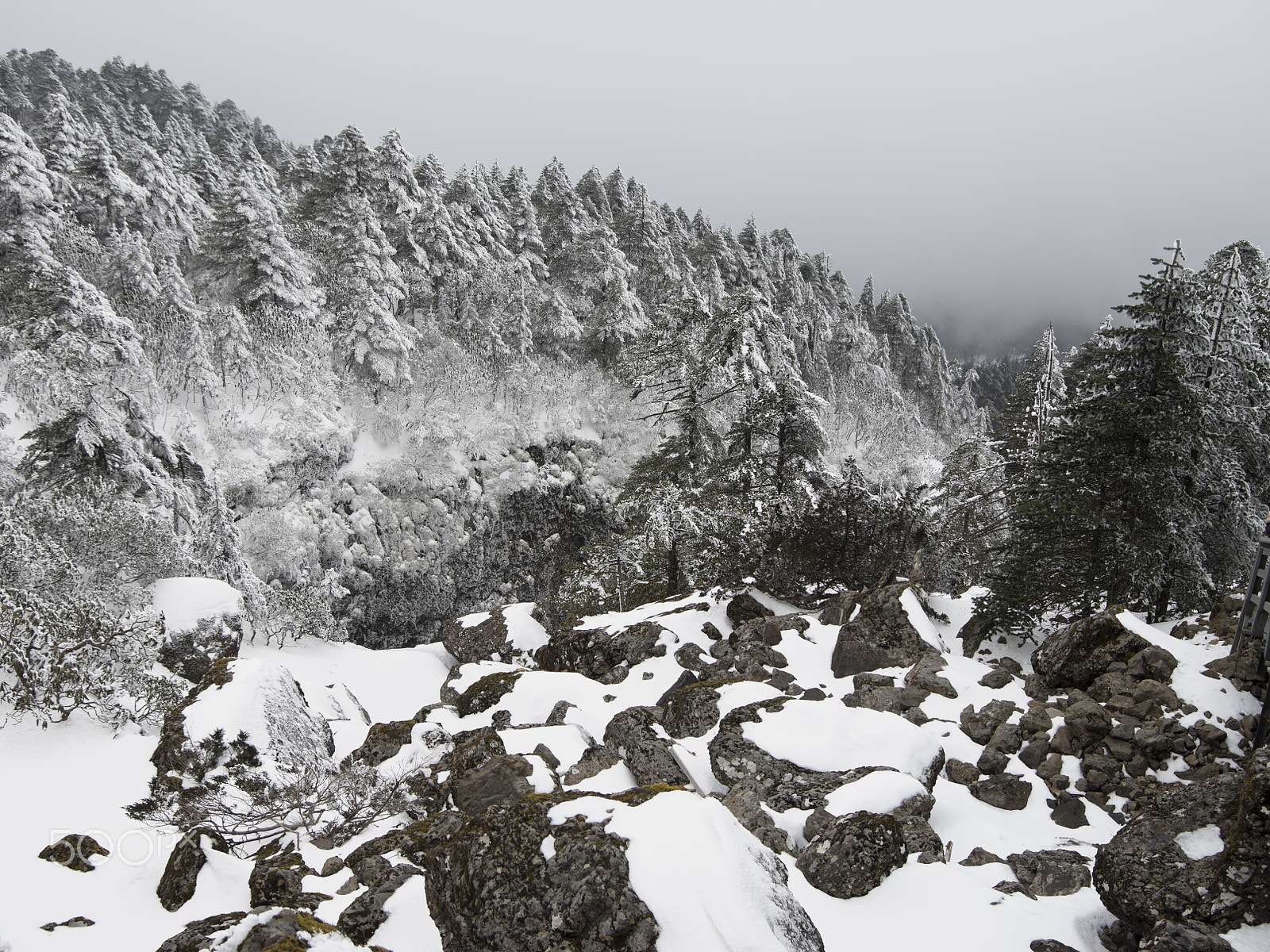 Pentax 645Z + smc PENTAX-FA 645 33-55mm F4.5 AL sample photo. The frozen stone photography