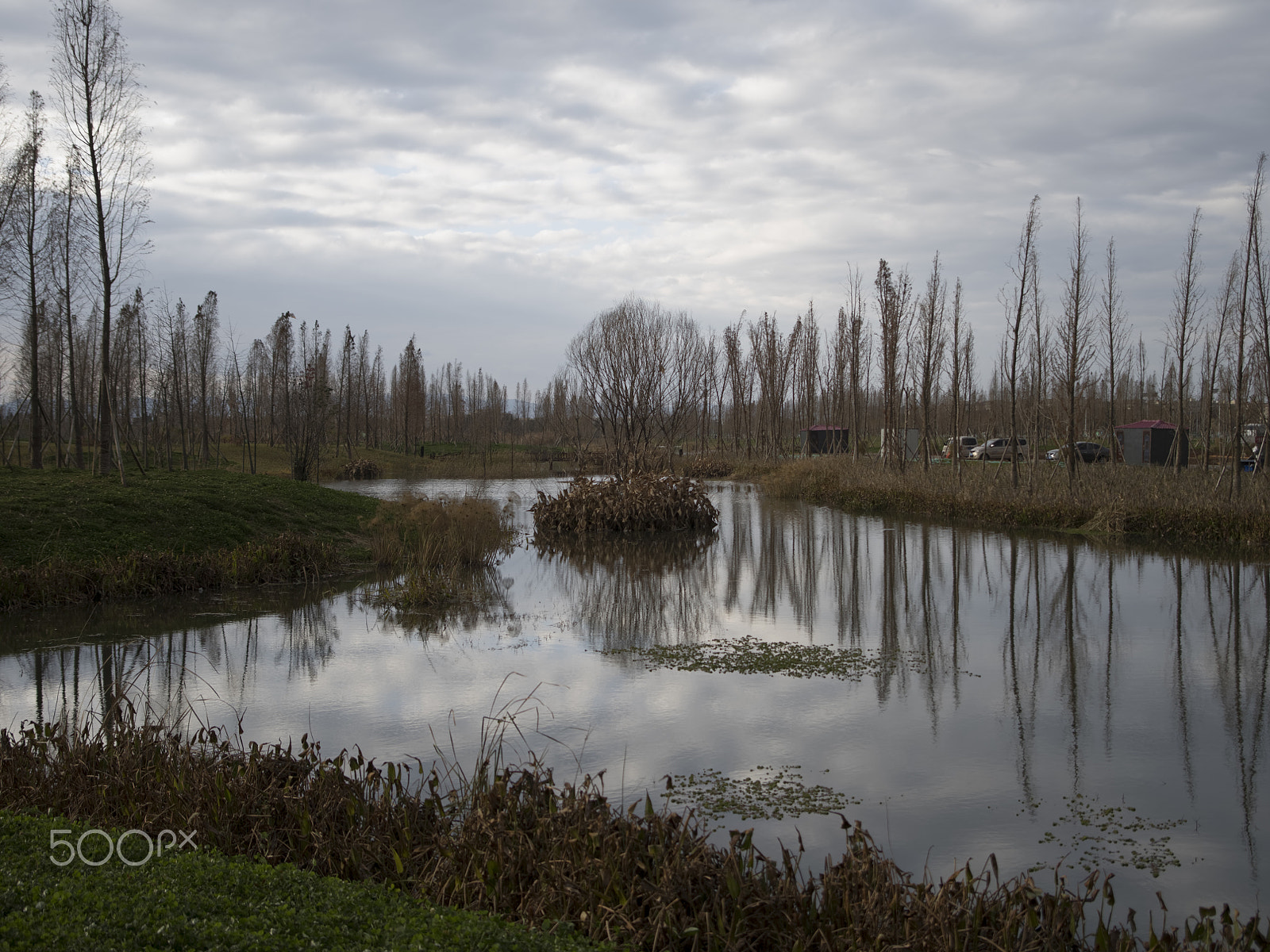 Pentax 645Z + smc PENTAX-FA 645 33-55mm F4.5 AL sample photo. Lakeside photography