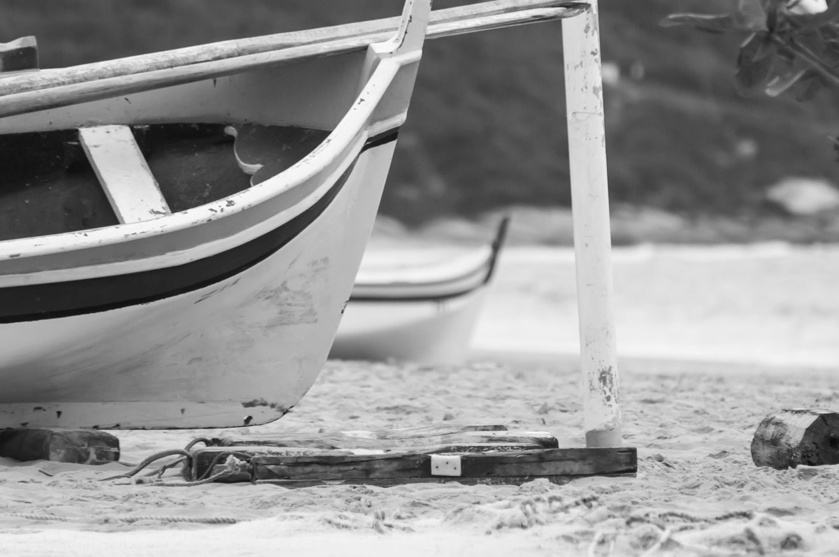 Canon EF 75-300mm f/4-5.6 USM sample photo. B&amp;w photography