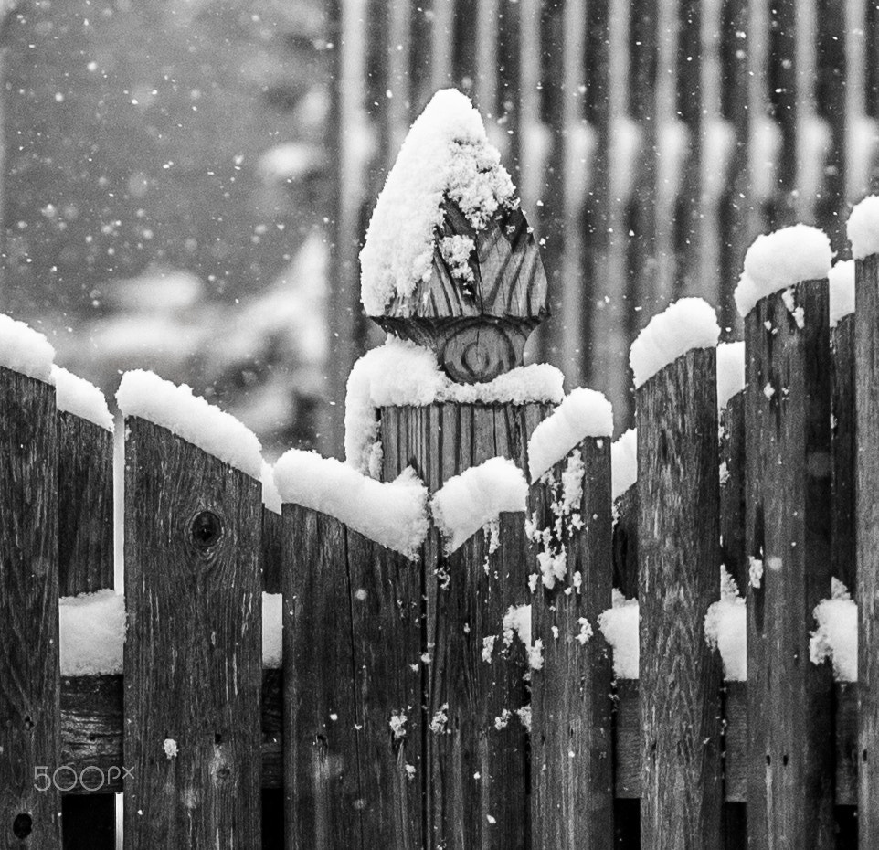 Canon EOS 100D (EOS Rebel SL1 / EOS Kiss X7) sample photo. Snowy post photography