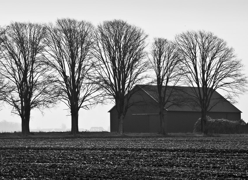 Canon EOS 400D (EOS Digital Rebel XTi / EOS Kiss Digital X) + Canon 28.0-135.0 mm sample photo. Swedish countryside photography