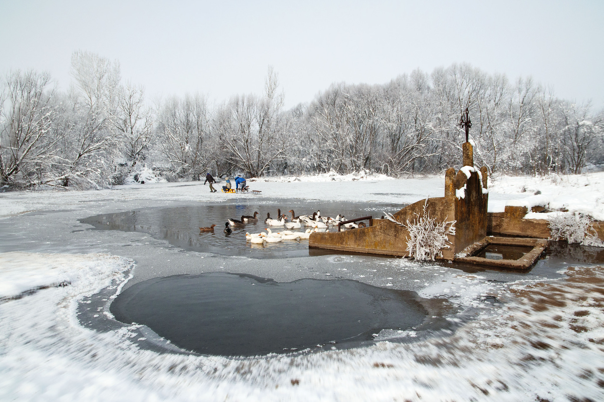 Sigma 17-70mm F2.8-4 DC Macro OS HSM | C sample photo. The lake photography