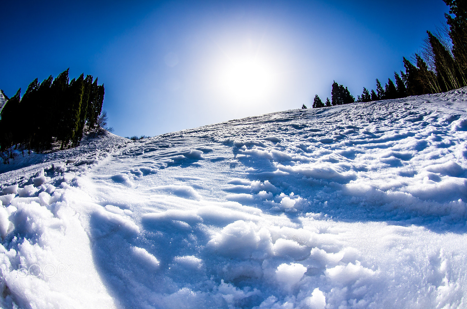 Pentax K-5 sample photo. Imk59522-2.jpg photography