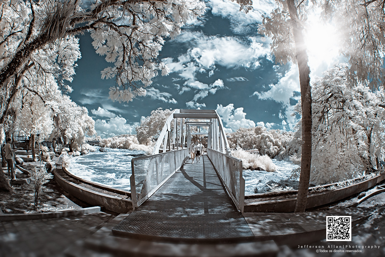 Canon EF 8-15mm F4L Fisheye USM sample photo. Infrared photography