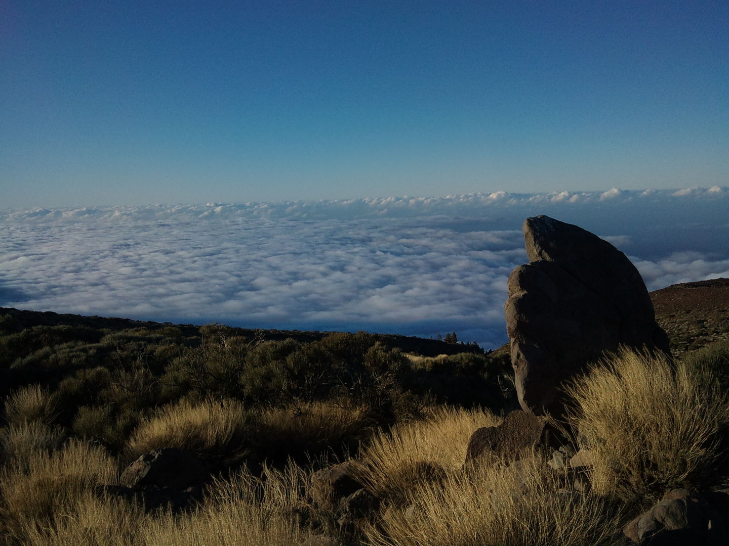 Sony Ericsson C901 sample photo. Tenerife photography