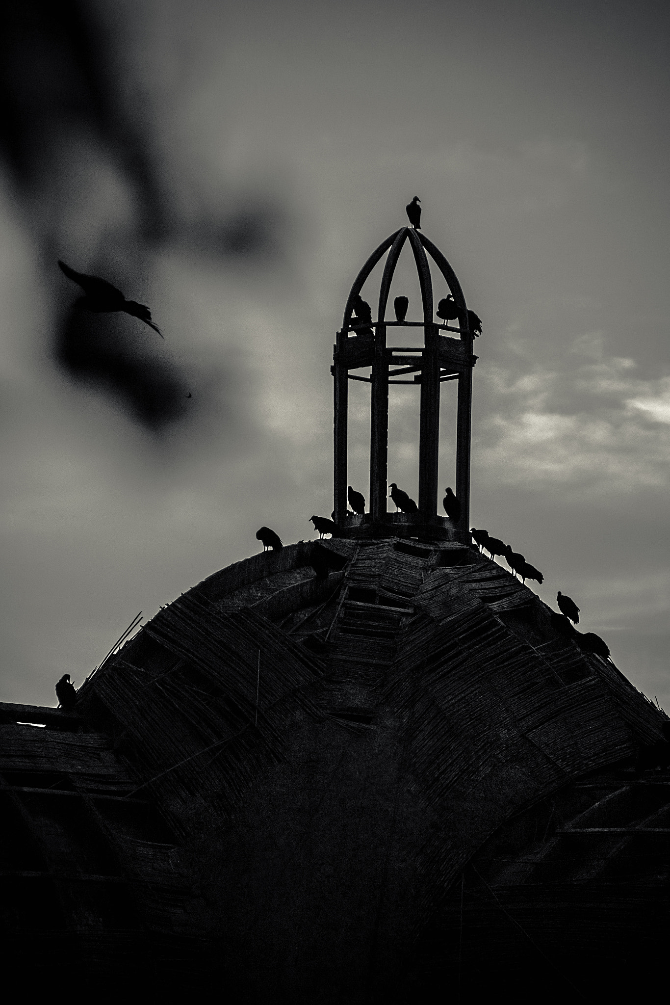 Canon EOS 100D (EOS Rebel SL1 / EOS Kiss X7) sample photo. Old. photography