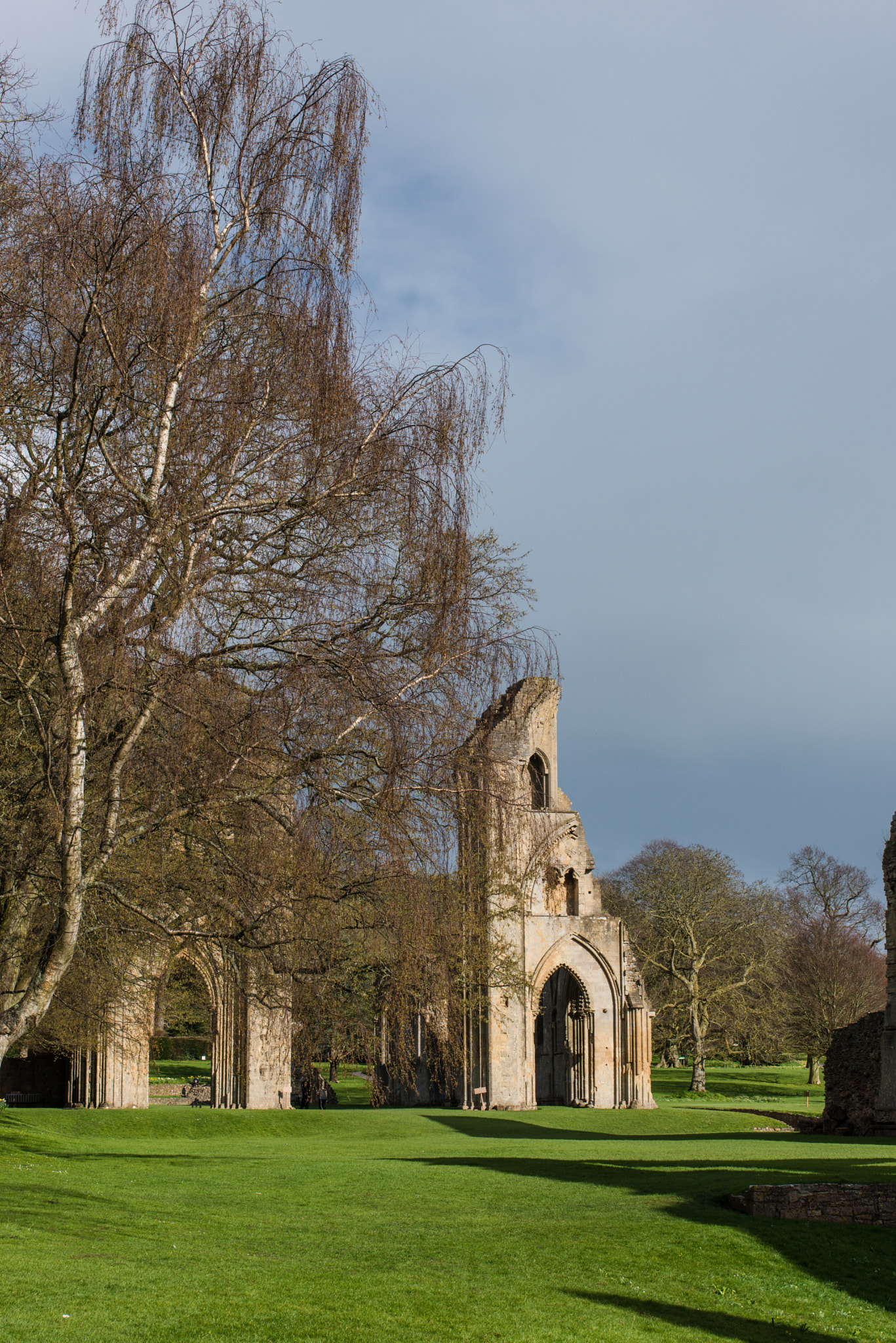 Sigma 50mm F2.8 EX DG Macro sample photo. England 2014 photography