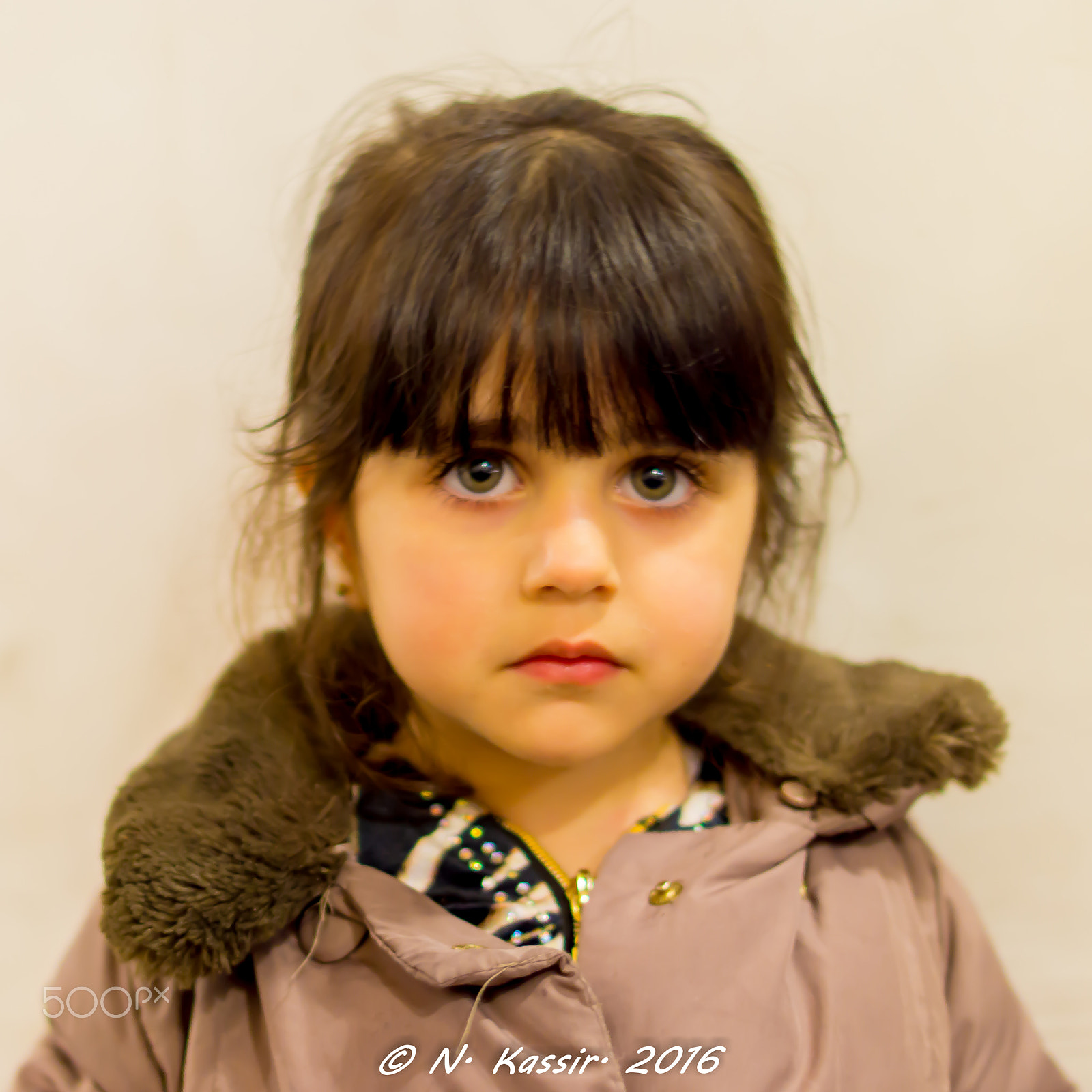 Sony SLT-A65 (SLT-A65V) + Sony 50mm F1.4 sample photo. Those other eyes photography