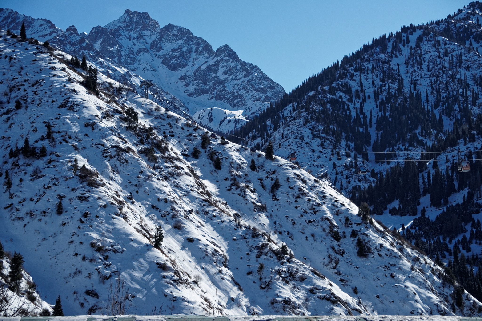 Sony Alpha DSLR-A900 sample photo. Snow mountains trees photography