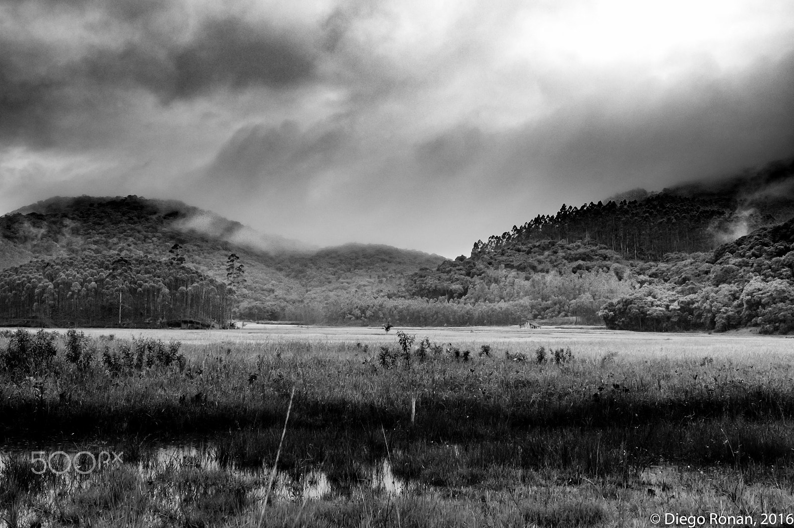 Nikon AF-S Nikkor 14-24mm F2.8G ED sample photo. Cloudy day photography