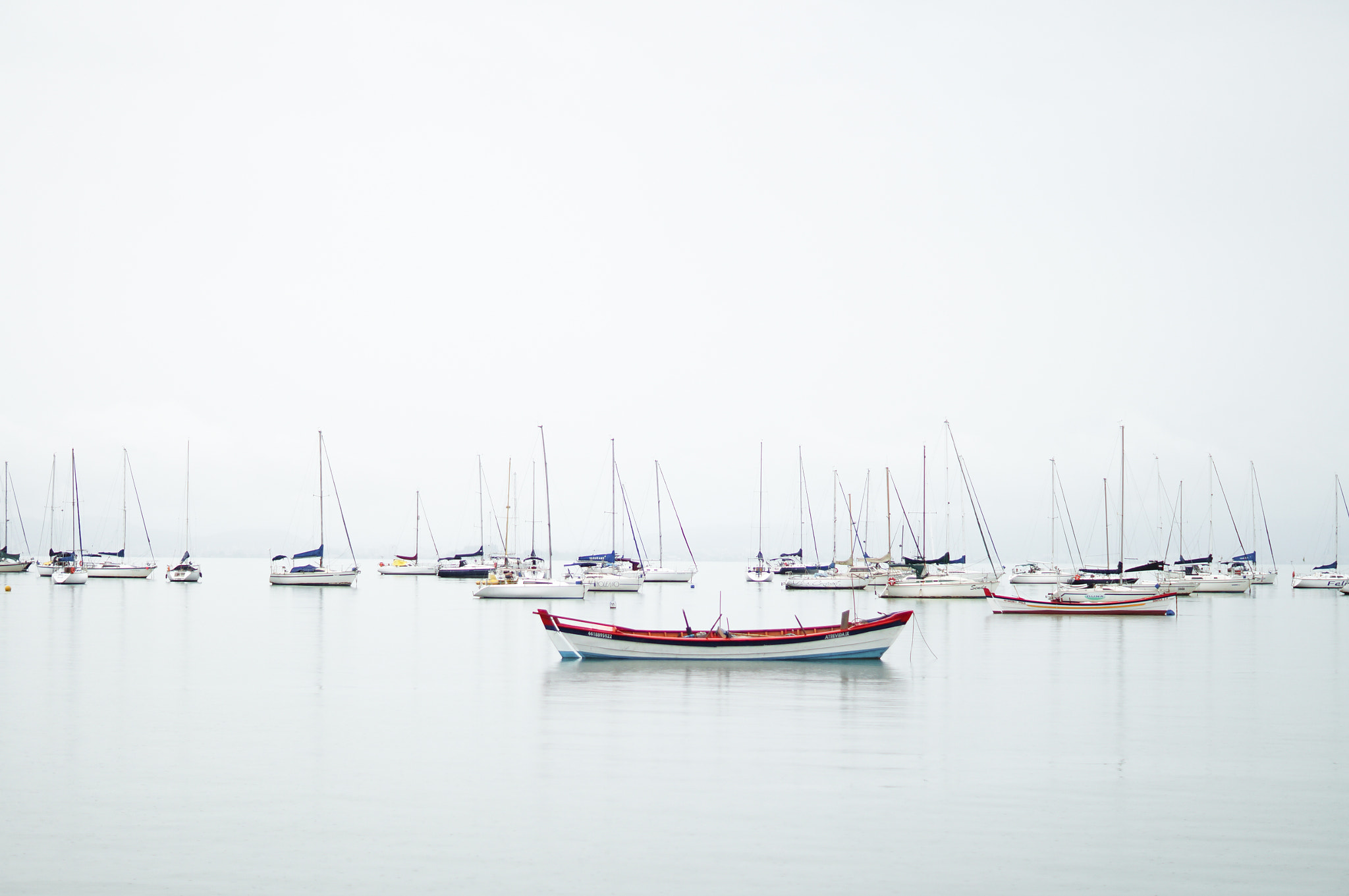 Sony SLT-A37 + Sony DT 50mm F1.8 SAM sample photo. A white day photography