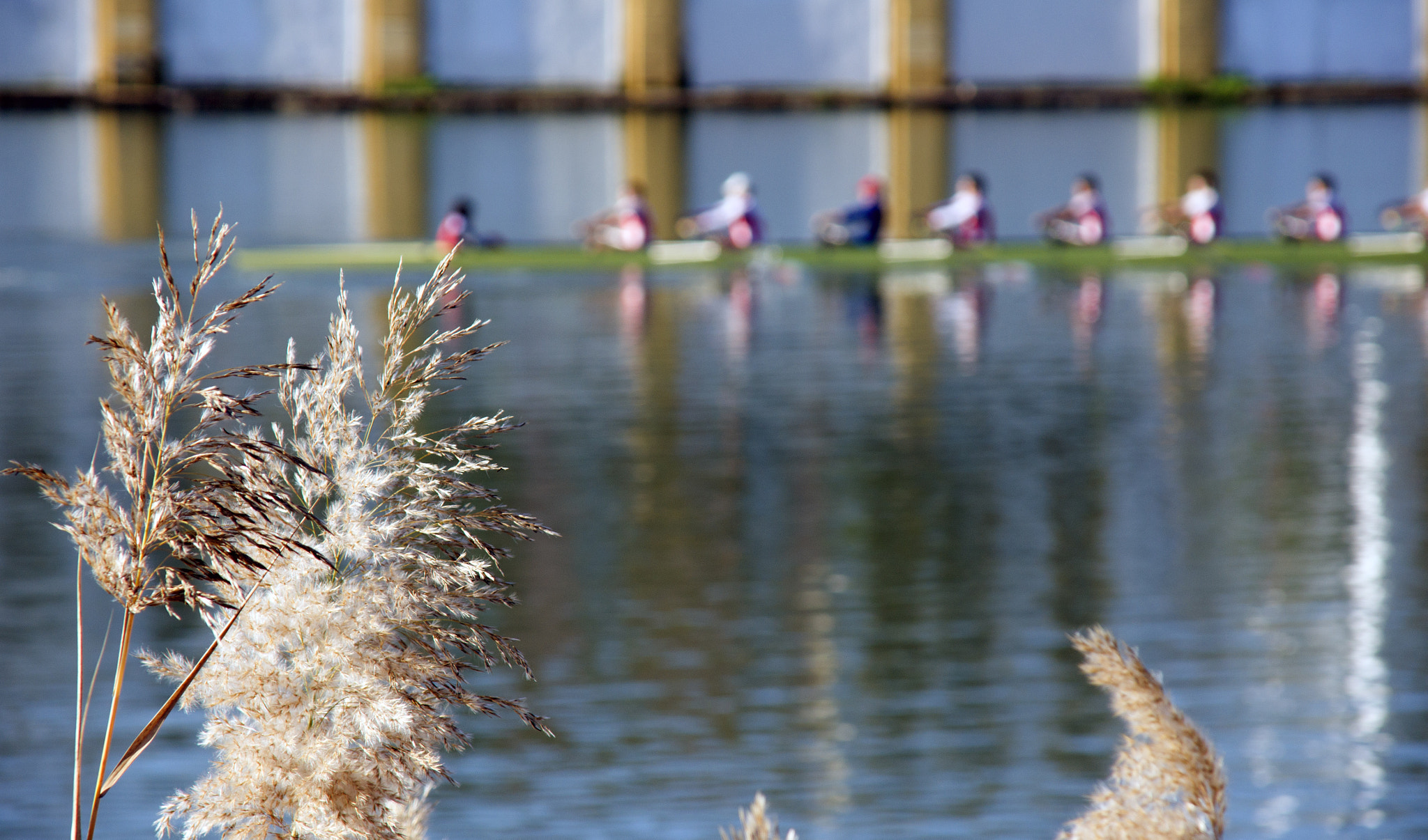 Sony DT 16-105mm F3.5-5.6 sample photo. Guadalquivir photography