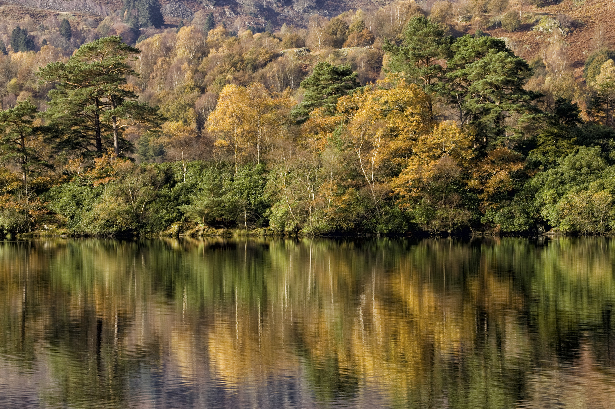 Canon EOS-1D Mark II + Canon EF 100-400mm F4.5-5.6L IS USM sample photo. Rydal water reflections photography