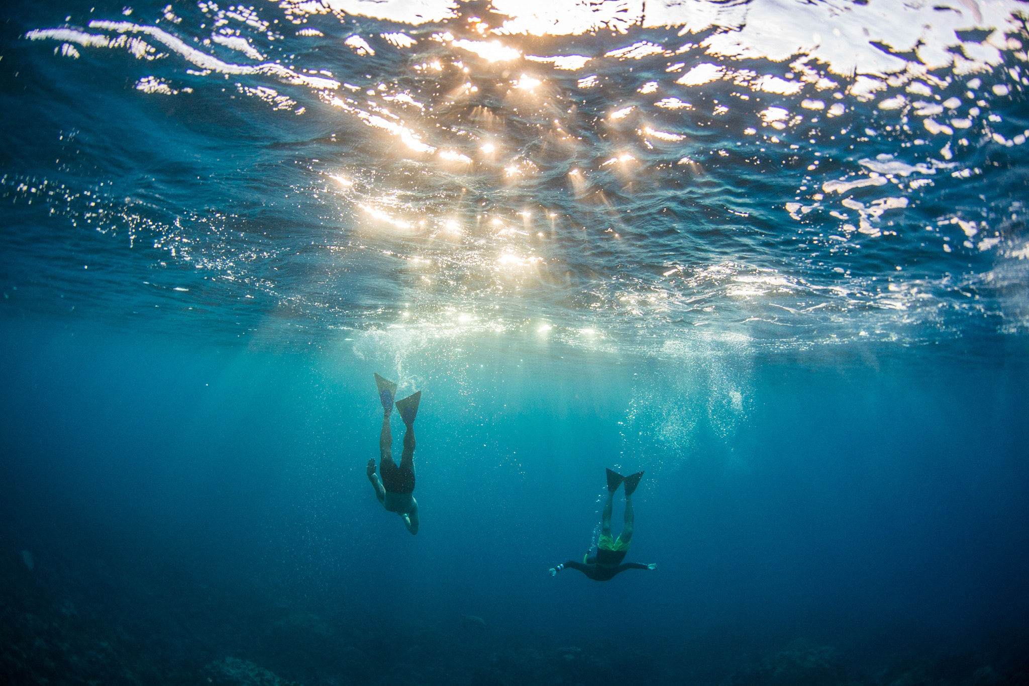 Nikon AF DX Fisheye-Nikkor 10.5mm F2.8G ED sample photo. Deep pacific photography