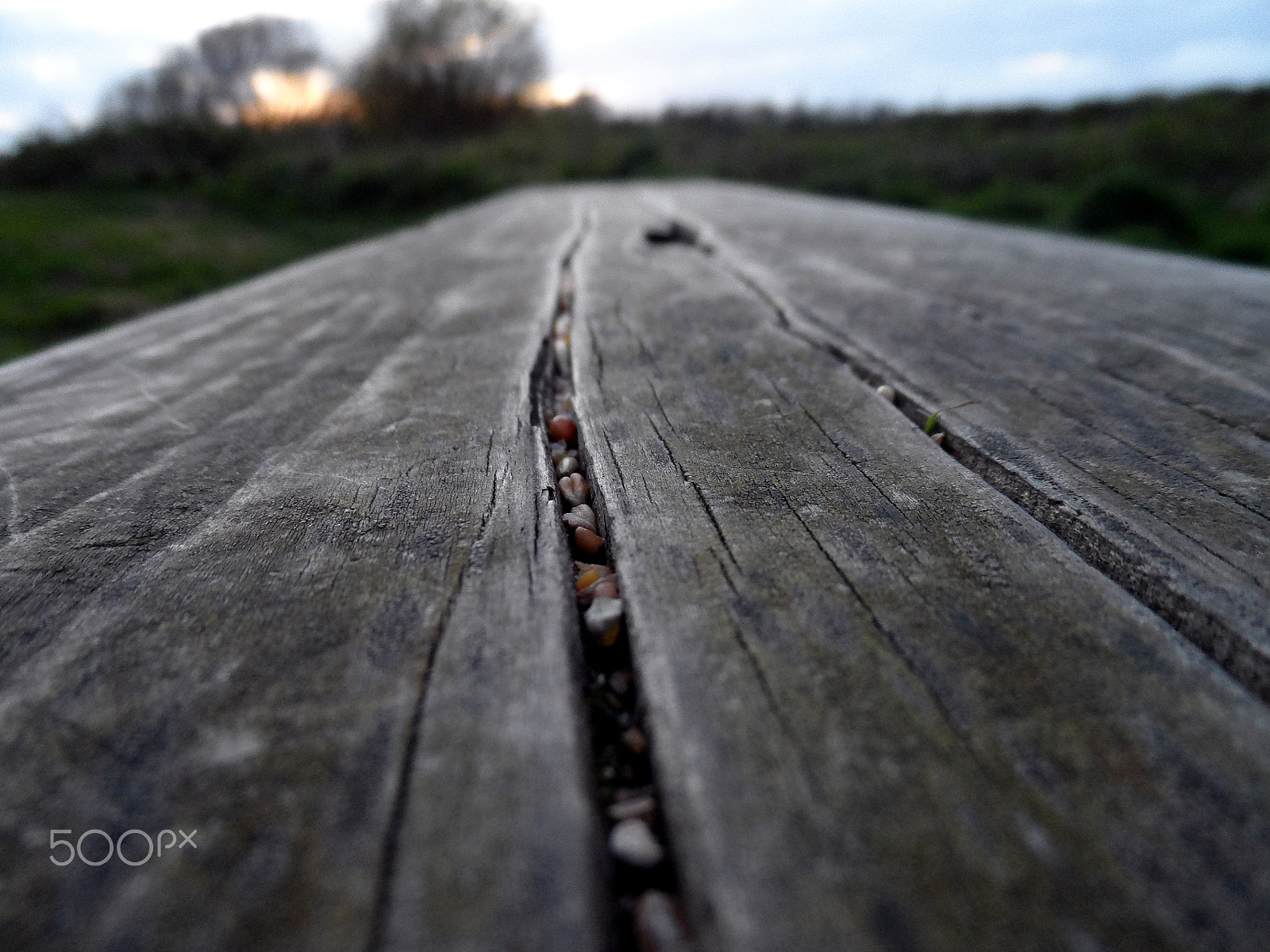 Samsung WB150 / WB150F / WB152 / WB152F / WB151 sample photo. Bech, seeds, sunset photography