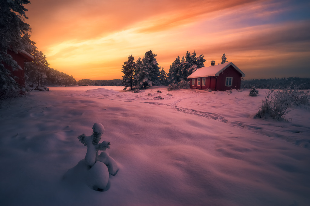 Sony a7R + Canon EF 16-35mm F4L IS USM sample photo. Morning light xvi photography