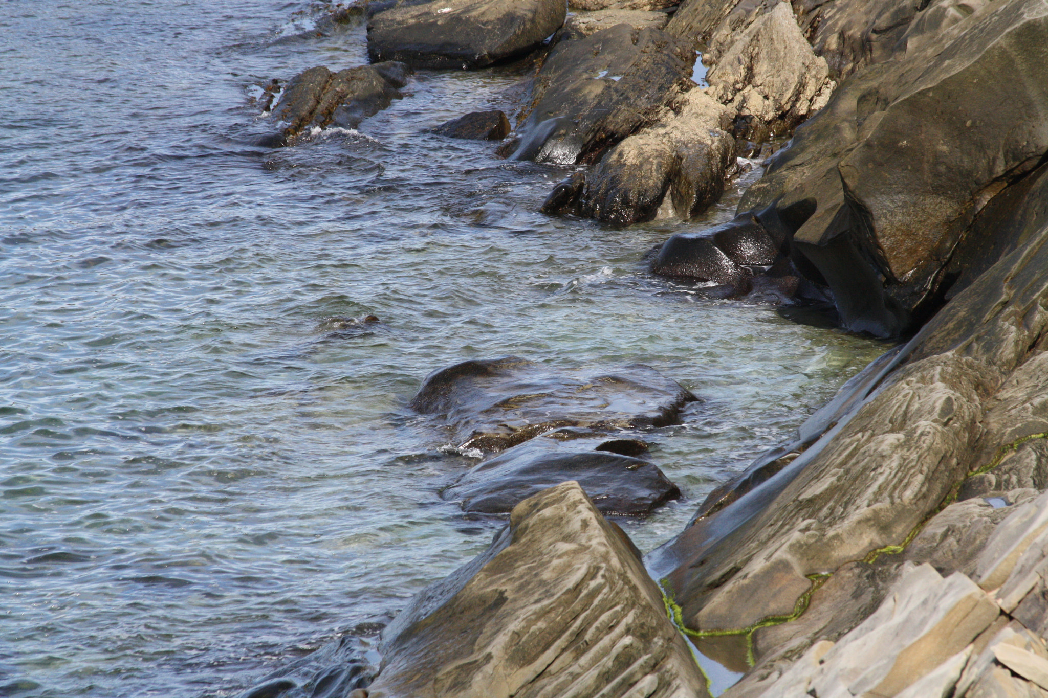 Canon EF 70-300mm F4-5.6 IS USM sample photo. Img_2585.jpg photography