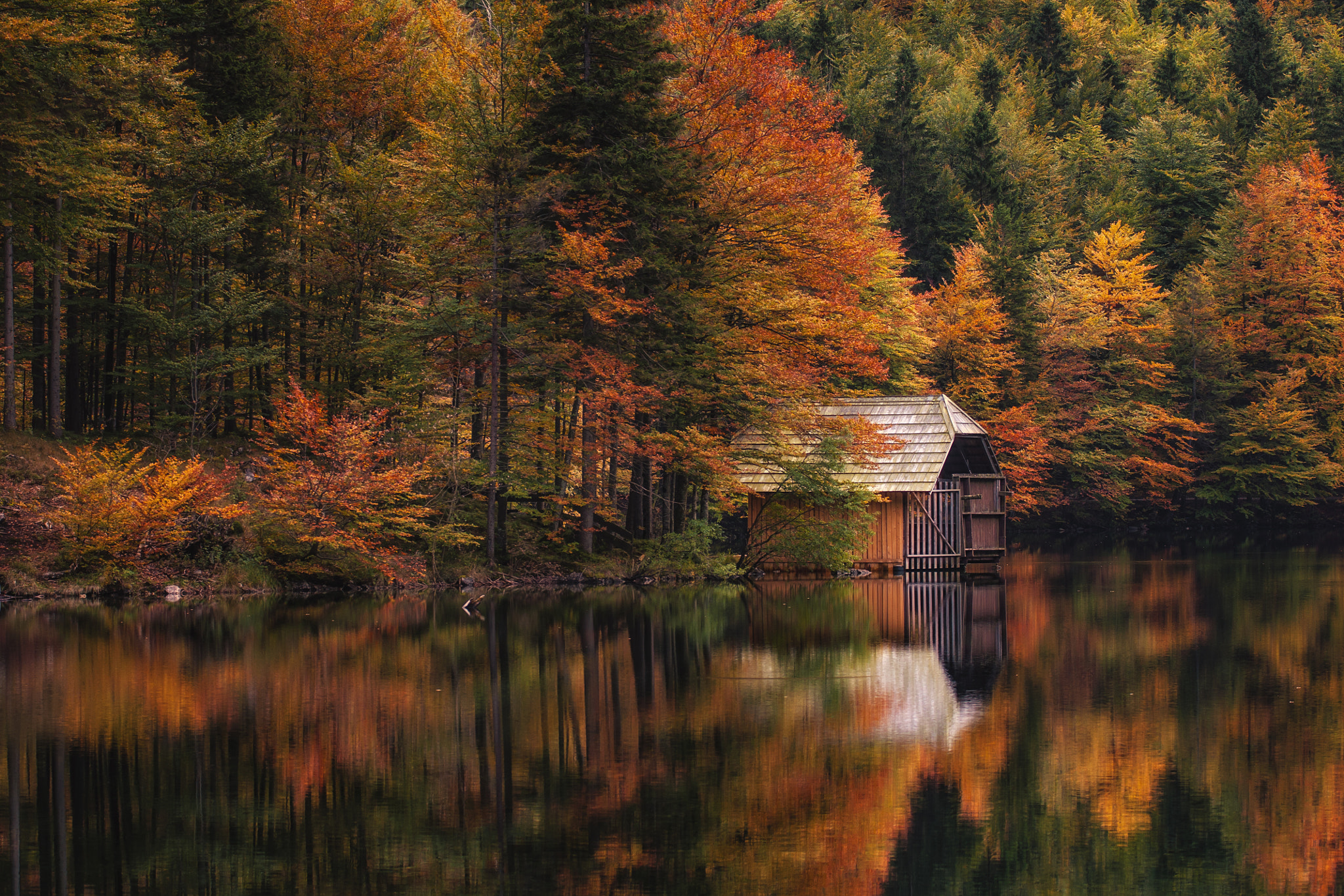 Sony Alpha DSLR-A700 sample photo. Herbst -colors on austria photography