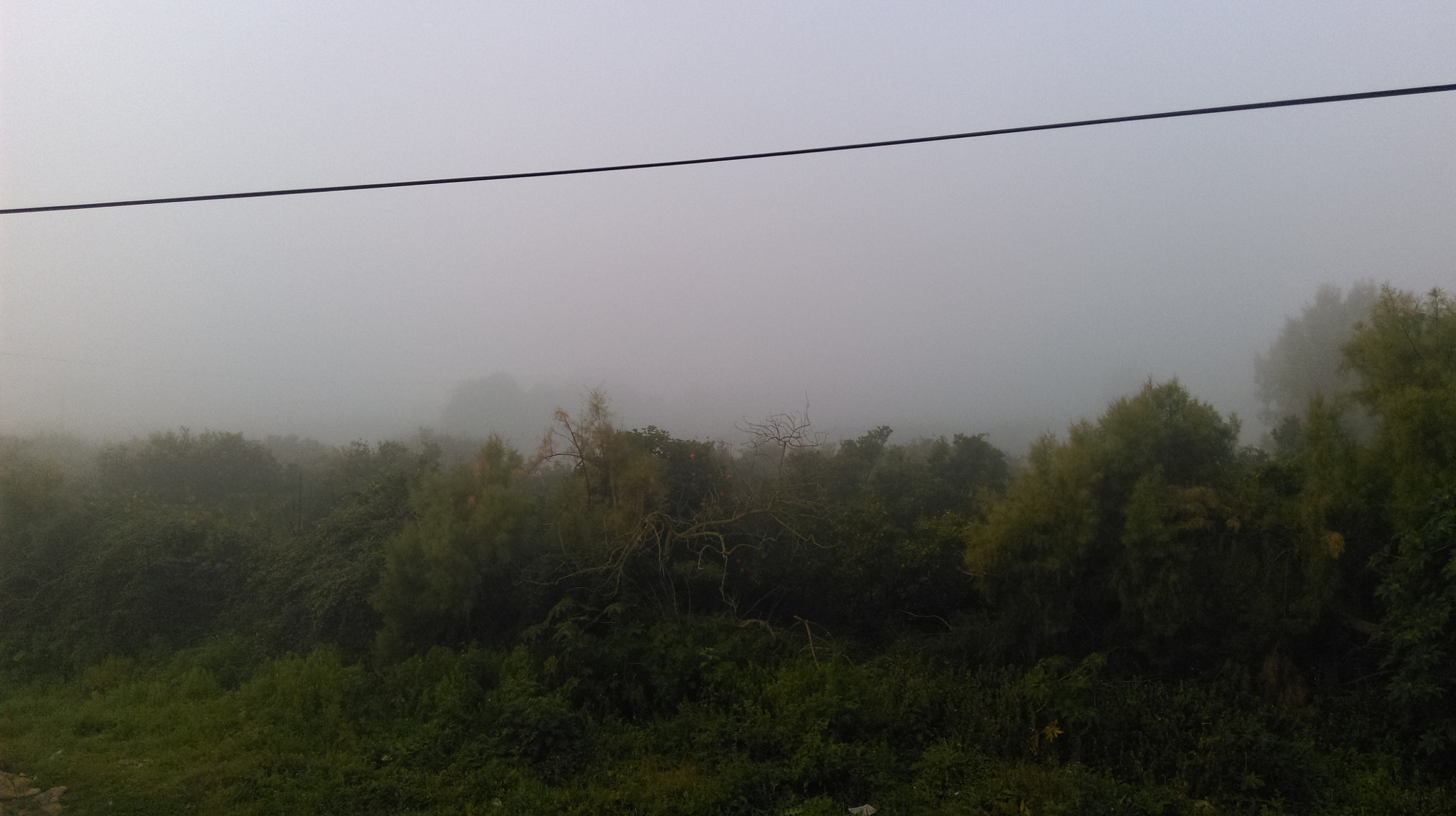 HTC 0P9C8 sample photo. Fog photography