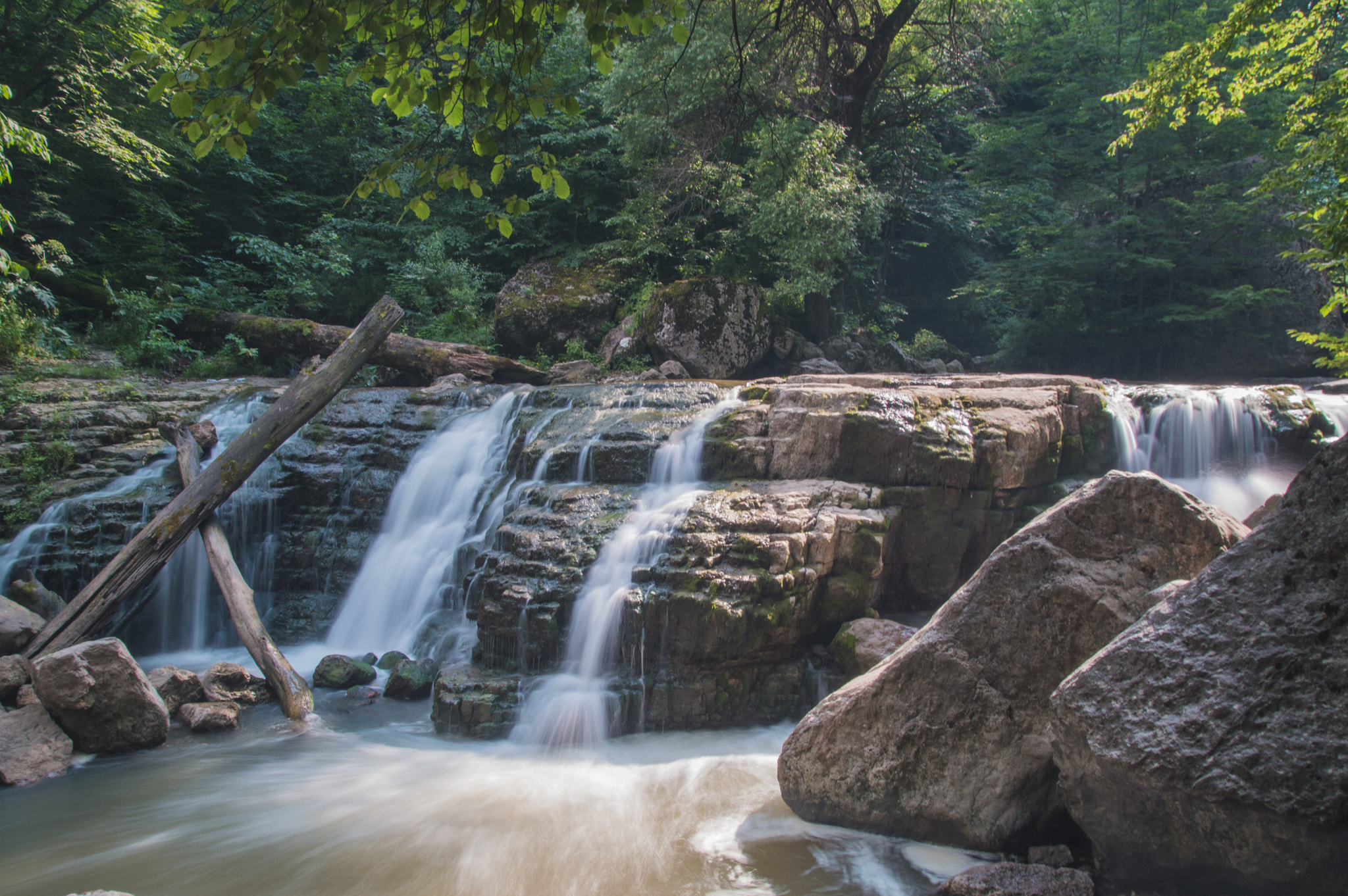Sigma 17-70mm F2.8-4 DC Macro OS HSM sample photo. Paradise in woods photography