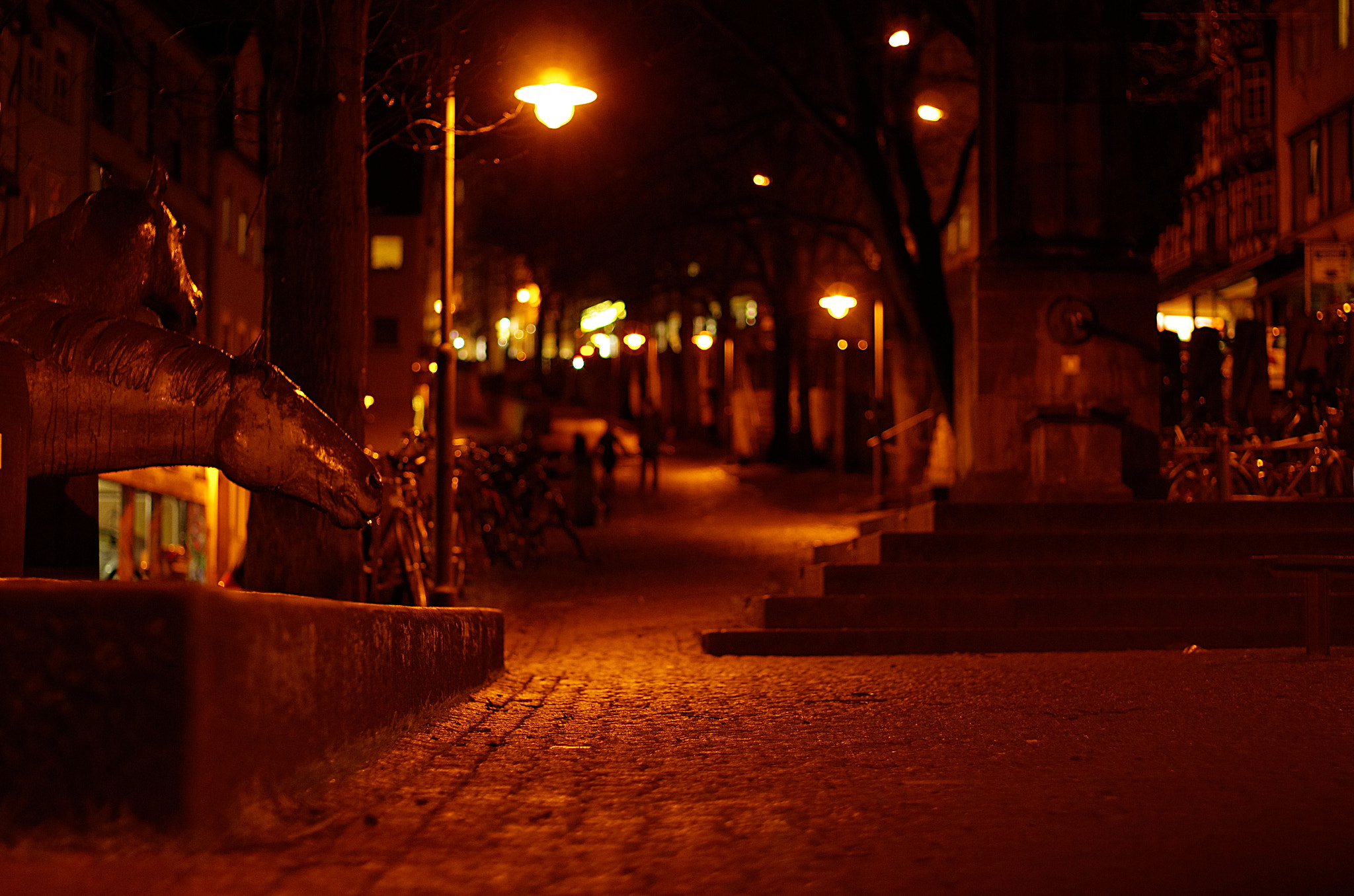 Pentax K-5 II + A Series Lens sample photo. Night horse playground photography