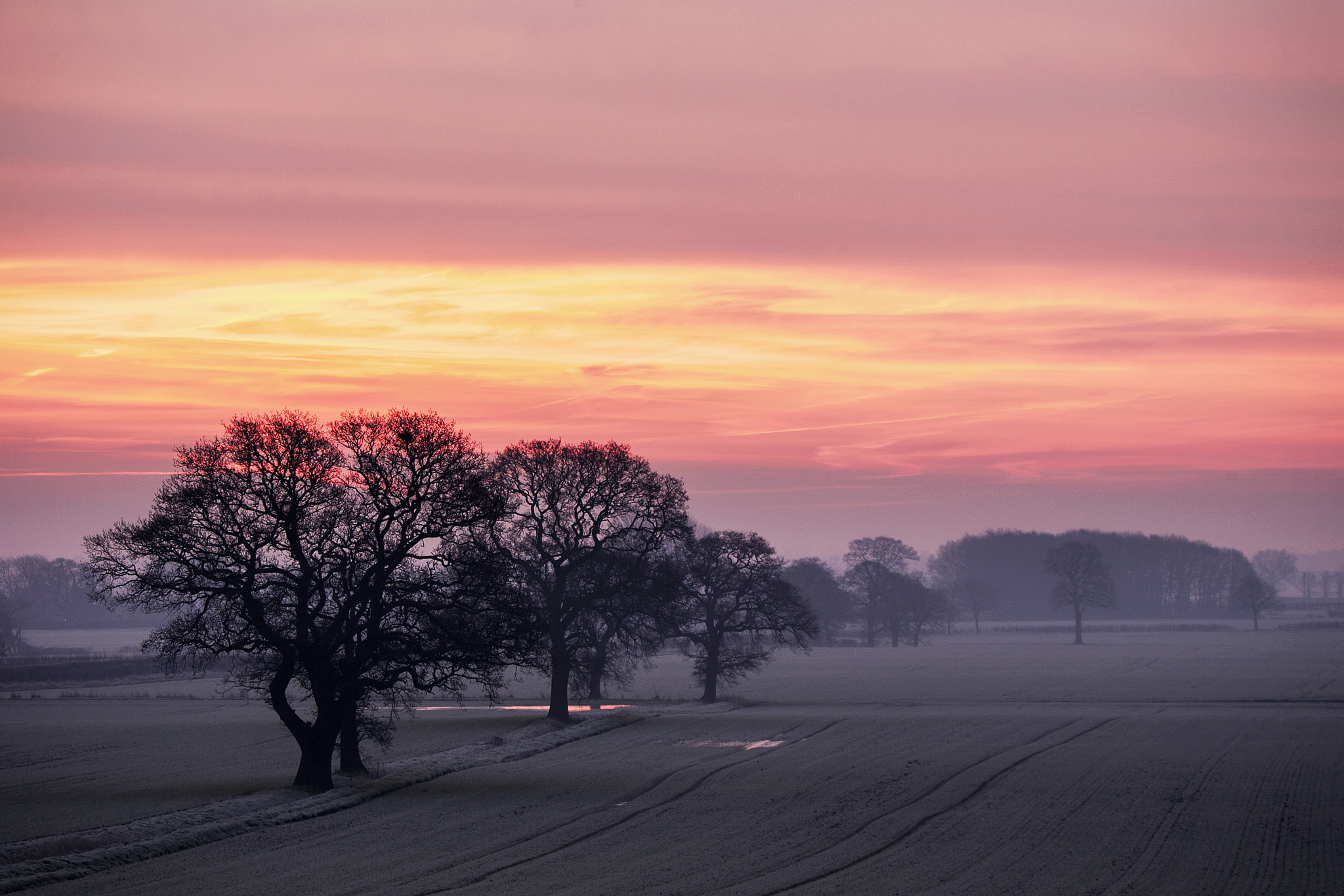 Canon EOS-1D Mark II sample photo. Frosty sunrise photography