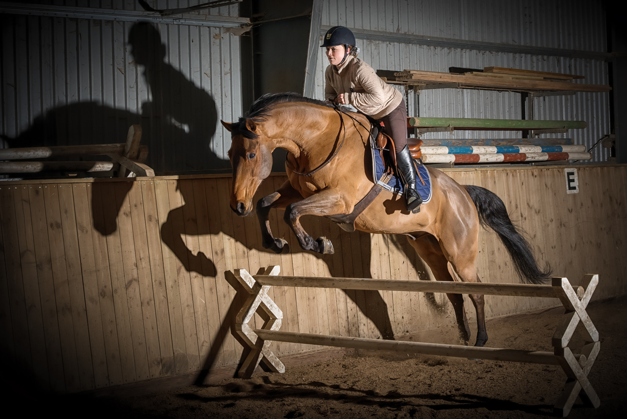 Nikon D800E + Nikon AF-S Nikkor 58mm F1.4G sample photo. Showjumping photography