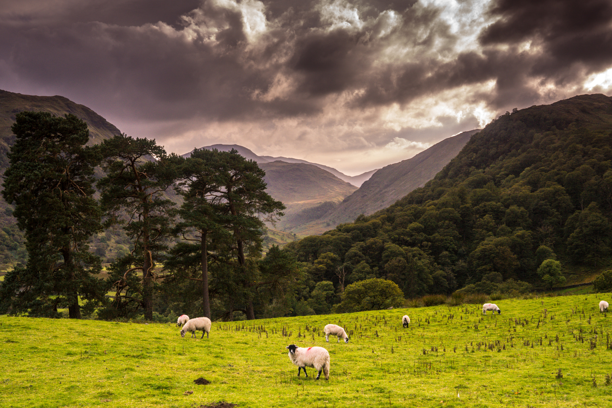 24-70mm F4 ZA OSS sample photo. The lake district photography