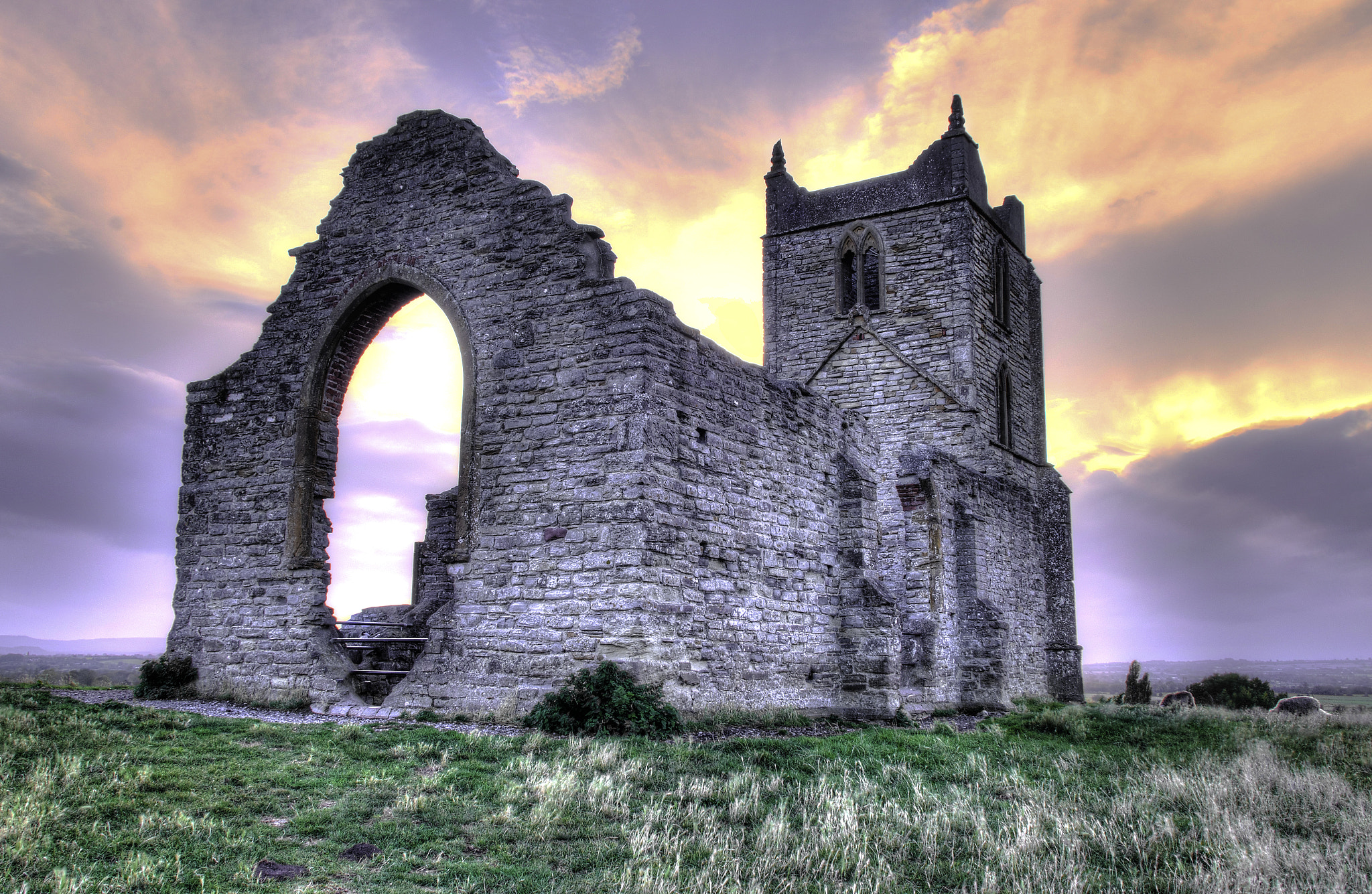 Sigma 18-50mm F2.8-4.5 DC OS HSM sample photo. Burrow mump photography
