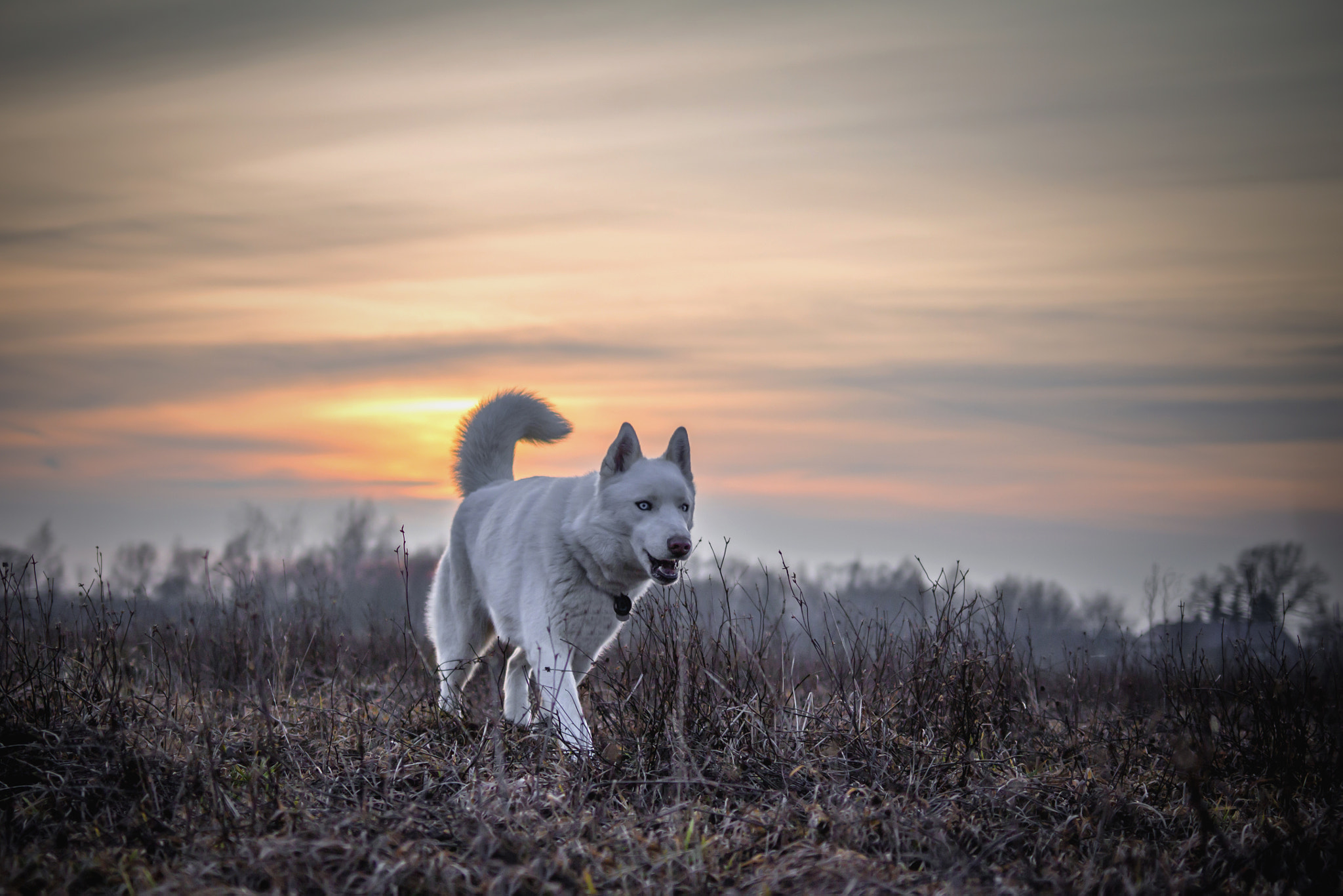 Canon EOS 100D (EOS Rebel SL1 / EOS Kiss X7) + Canon EF 35mm F2 IS USM sample photo. Nanook photography