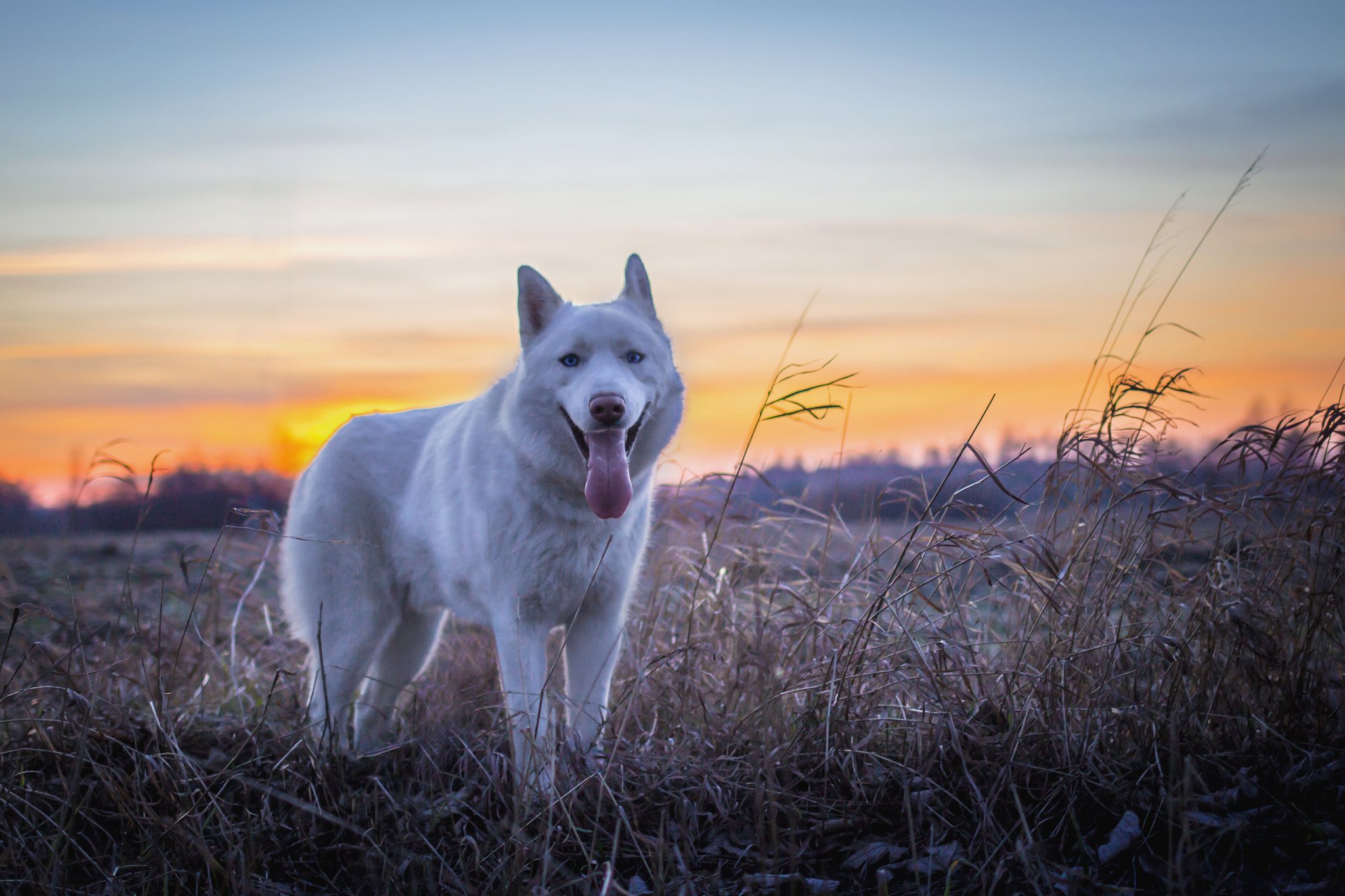 Canon EOS 100D (EOS Rebel SL1 / EOS Kiss X7) + Canon EF 35mm F2 IS USM sample photo. Nanook photography