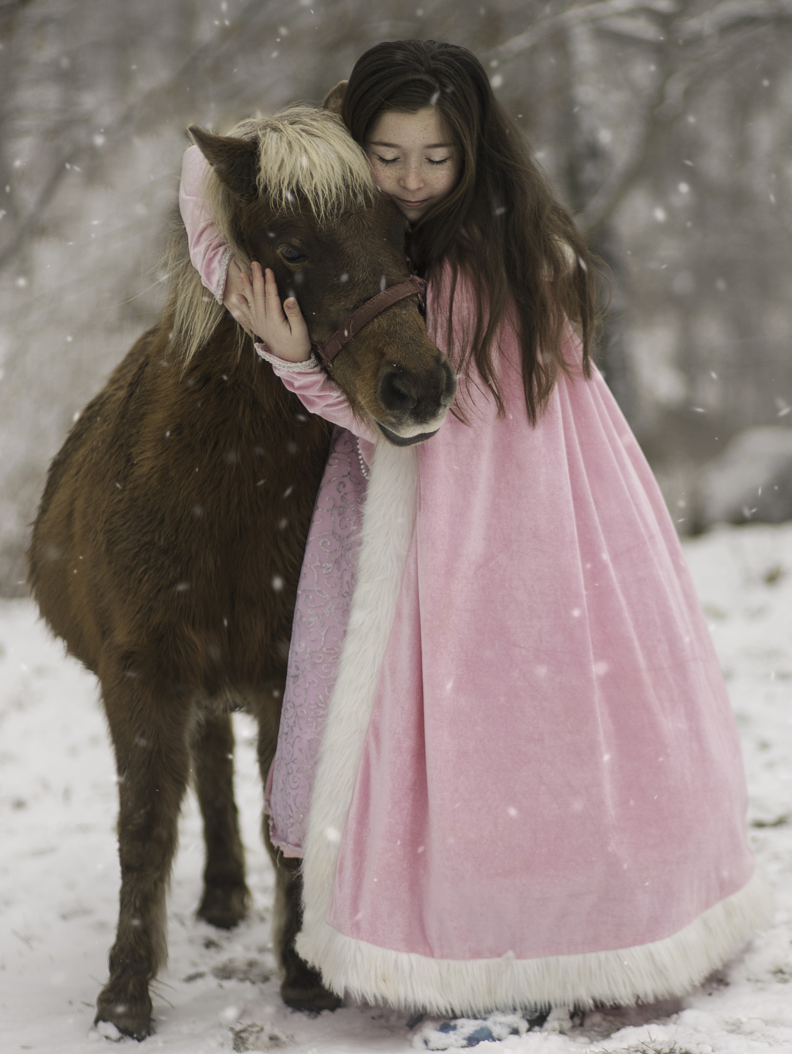 Sony a7S II + Sony DT 50mm F1.8 SAM sample photo. The princess and her pony photography