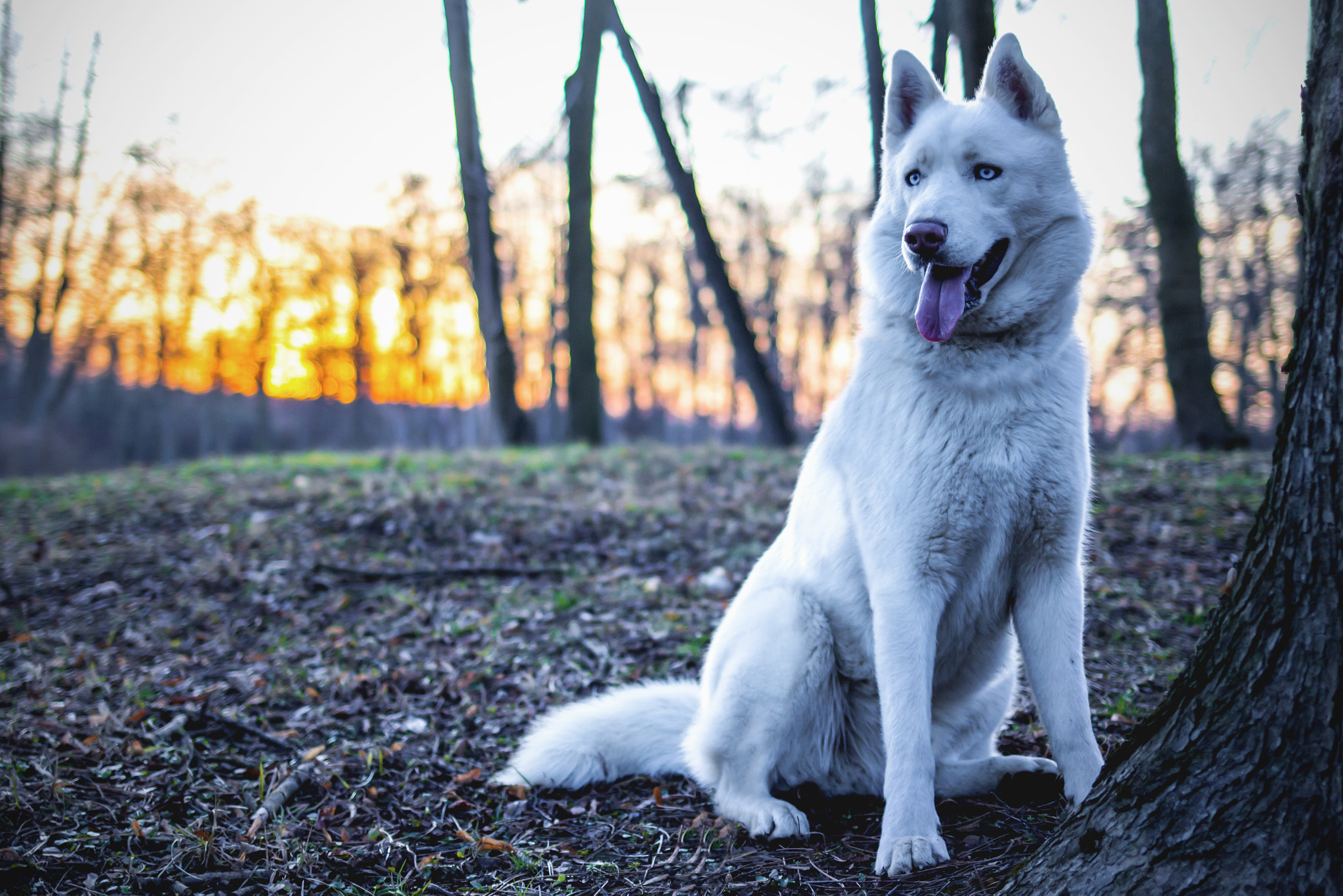 Canon EOS 100D (EOS Rebel SL1 / EOS Kiss X7) + Canon EF 35mm F2 IS USM sample photo. Nanook photography