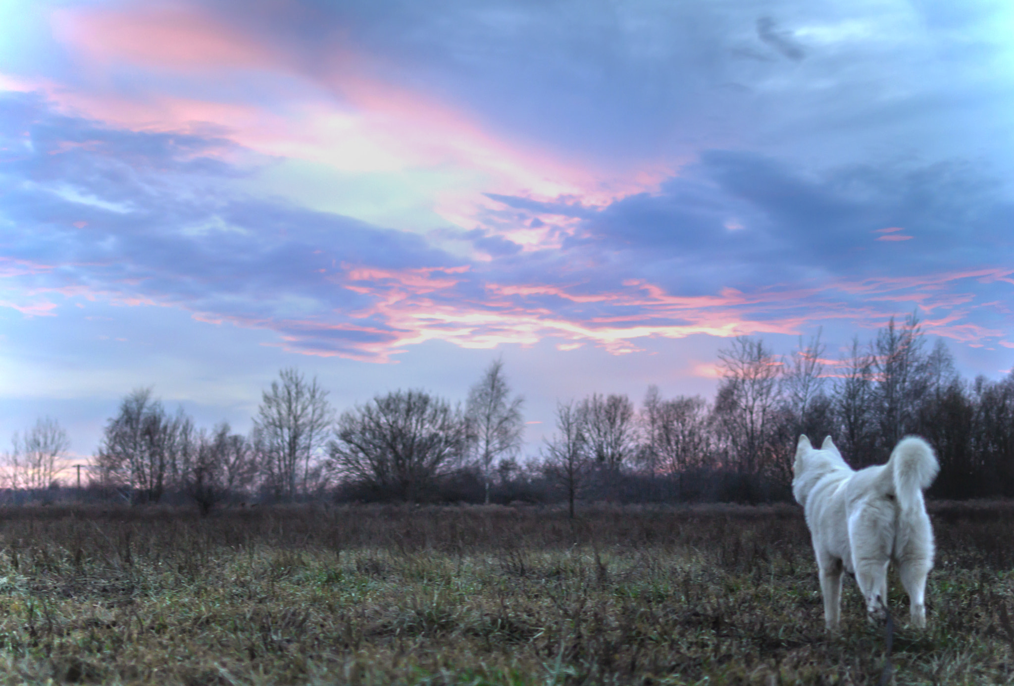 Canon EOS 100D (EOS Rebel SL1 / EOS Kiss X7) + Canon EF 35mm F2 IS USM sample photo. Nanook photography