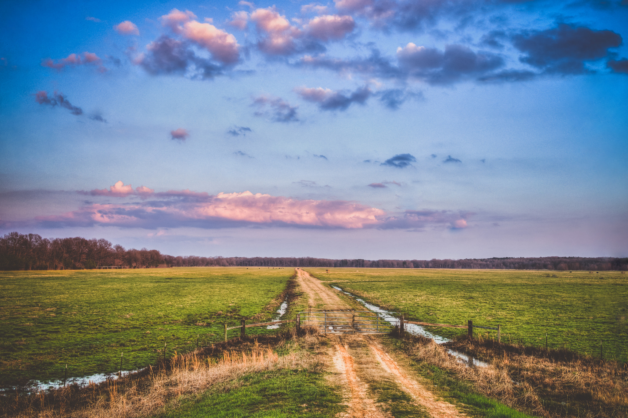 Sony Alpha NEX-3N + Sigma 19mm F2.8 EX DN sample photo. Farm road photography