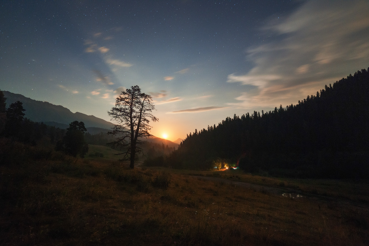 Nikon D3X sample photo. The moon had set, and night light... photography