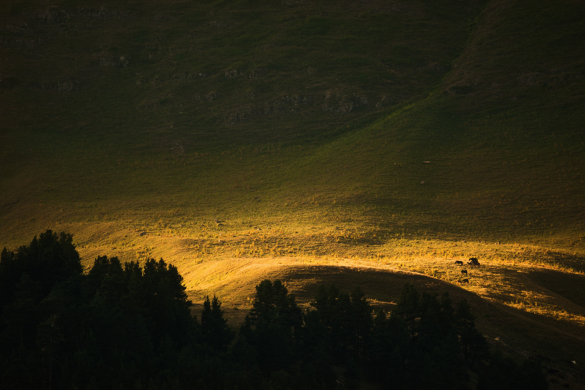 Nikon D3X sample photo. On the slopes of the arkhiz photography