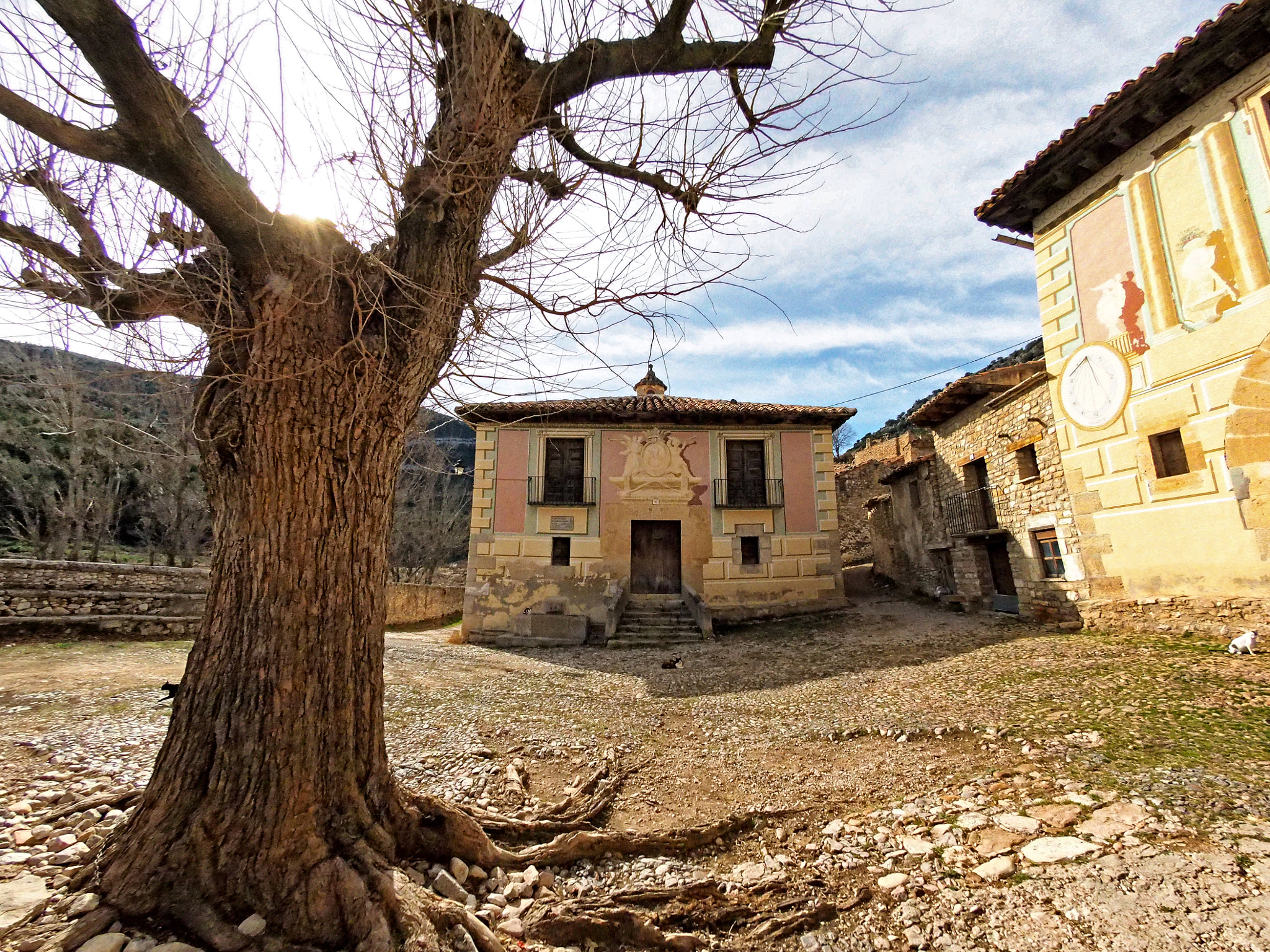 OLYMPUS 8mm Lens sample photo. Plaza mayor. photography