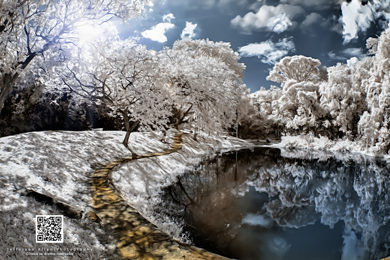 Canon EF 8-15mm F4L Fisheye USM sample photo. Infrared photography